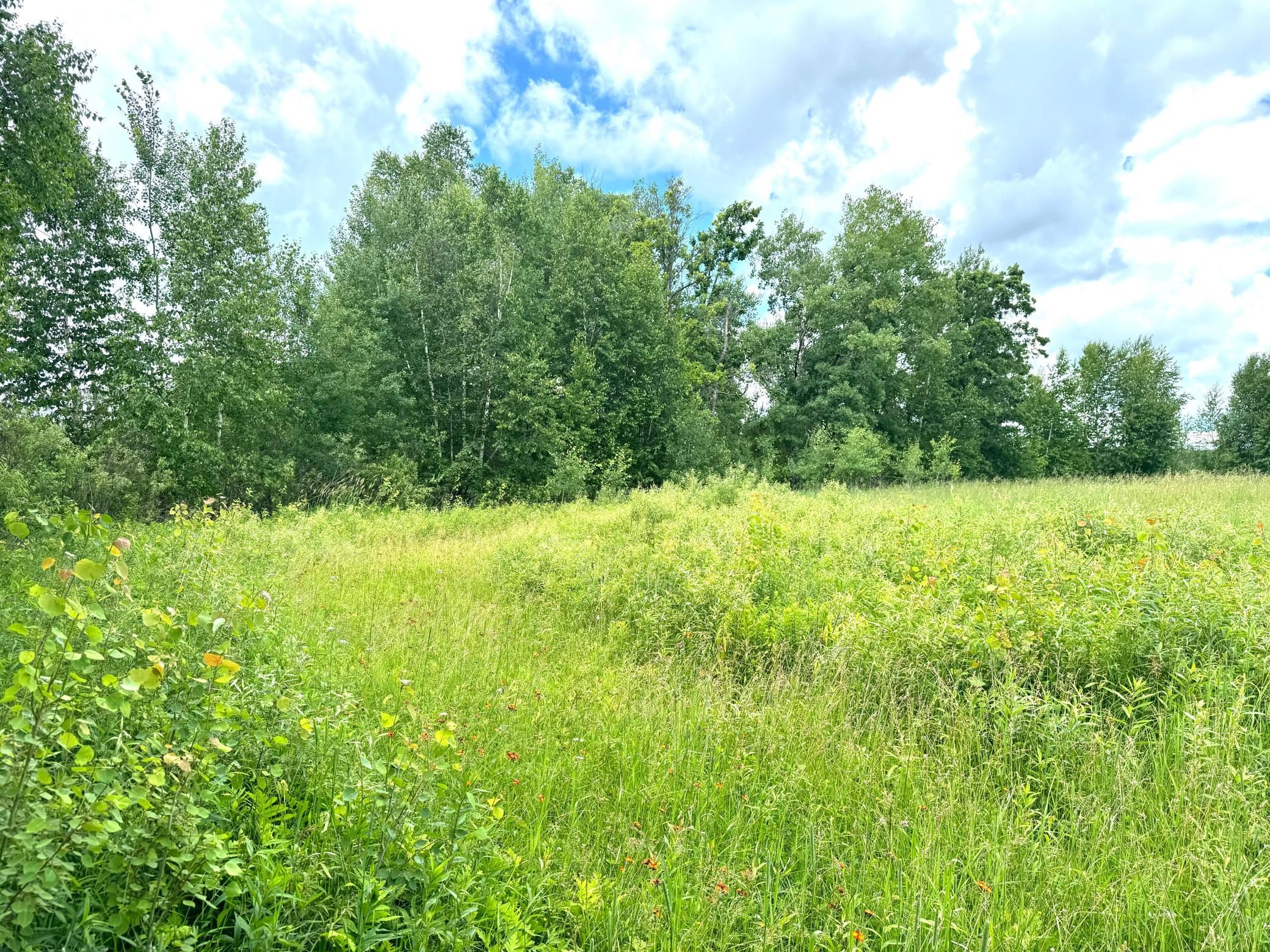 main property photo 55