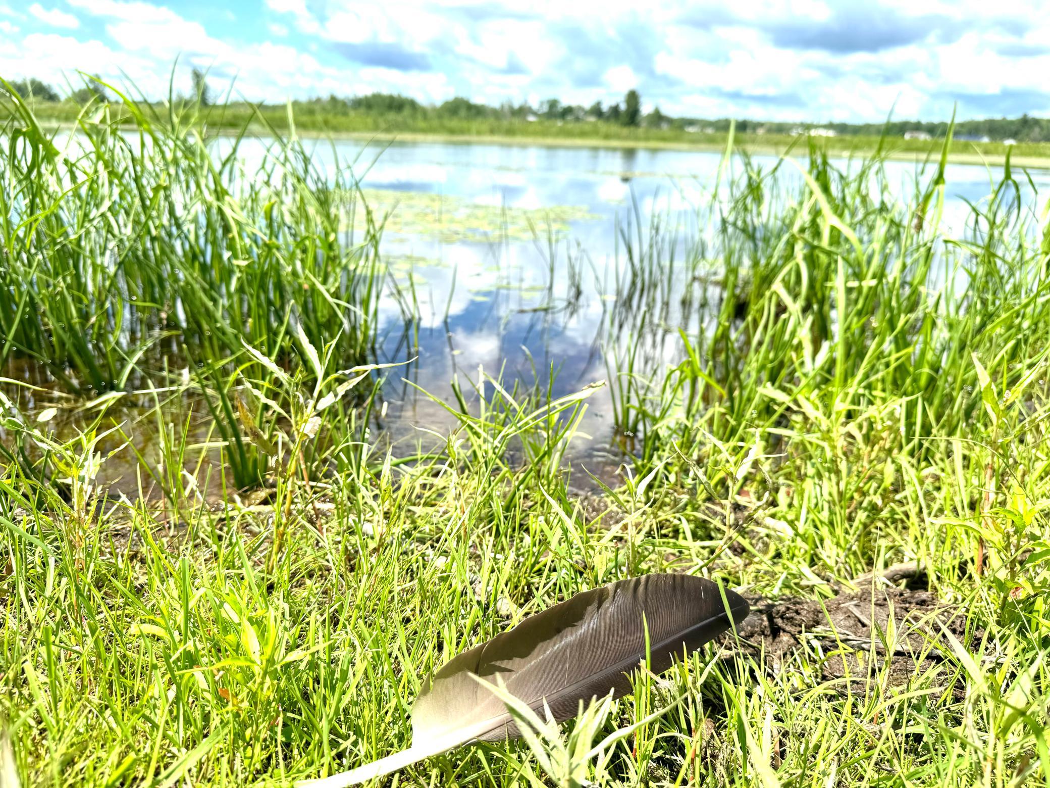 main property photo 59
