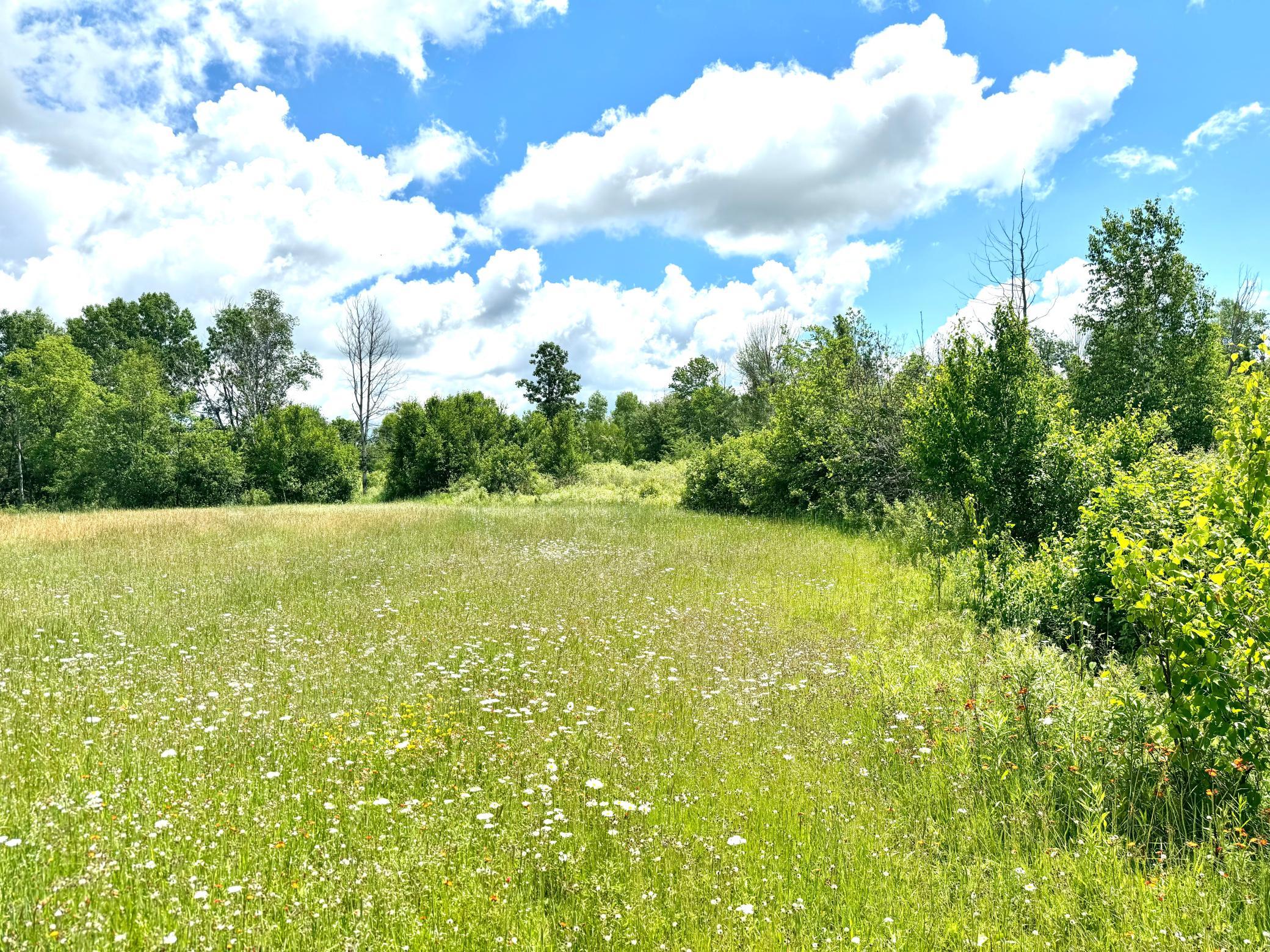 main property photo 60