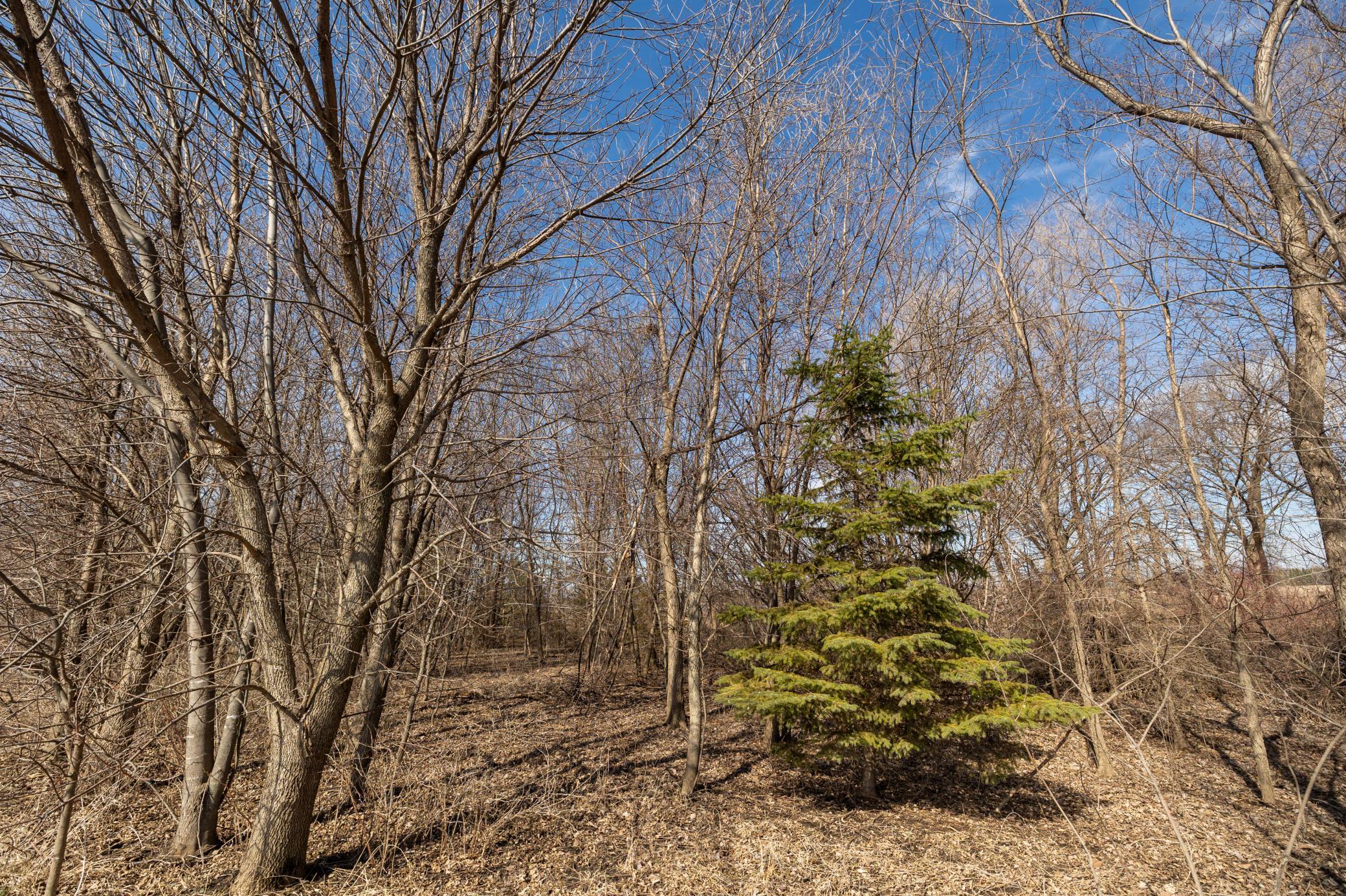 main property photo 29