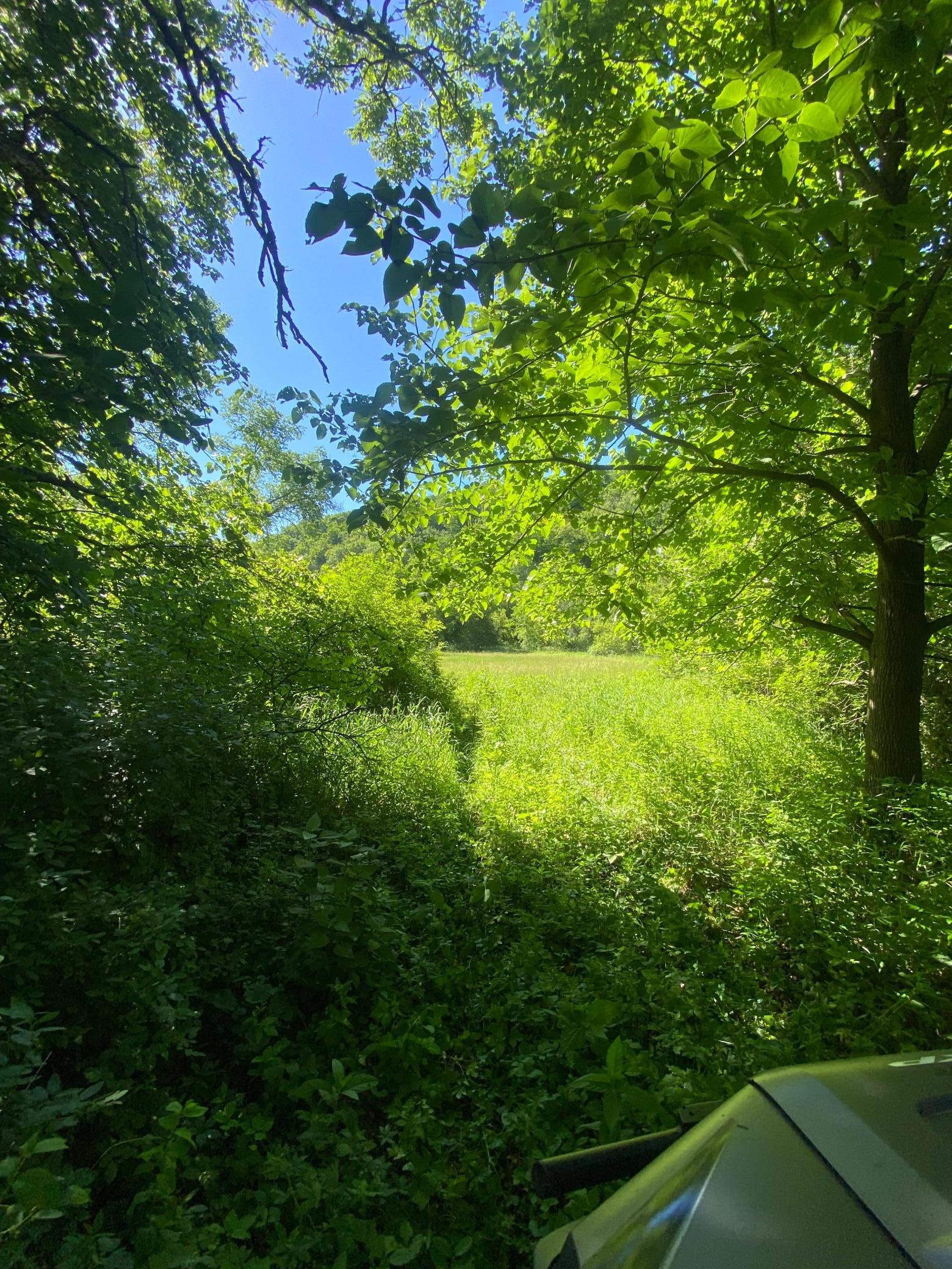 main property photo 28