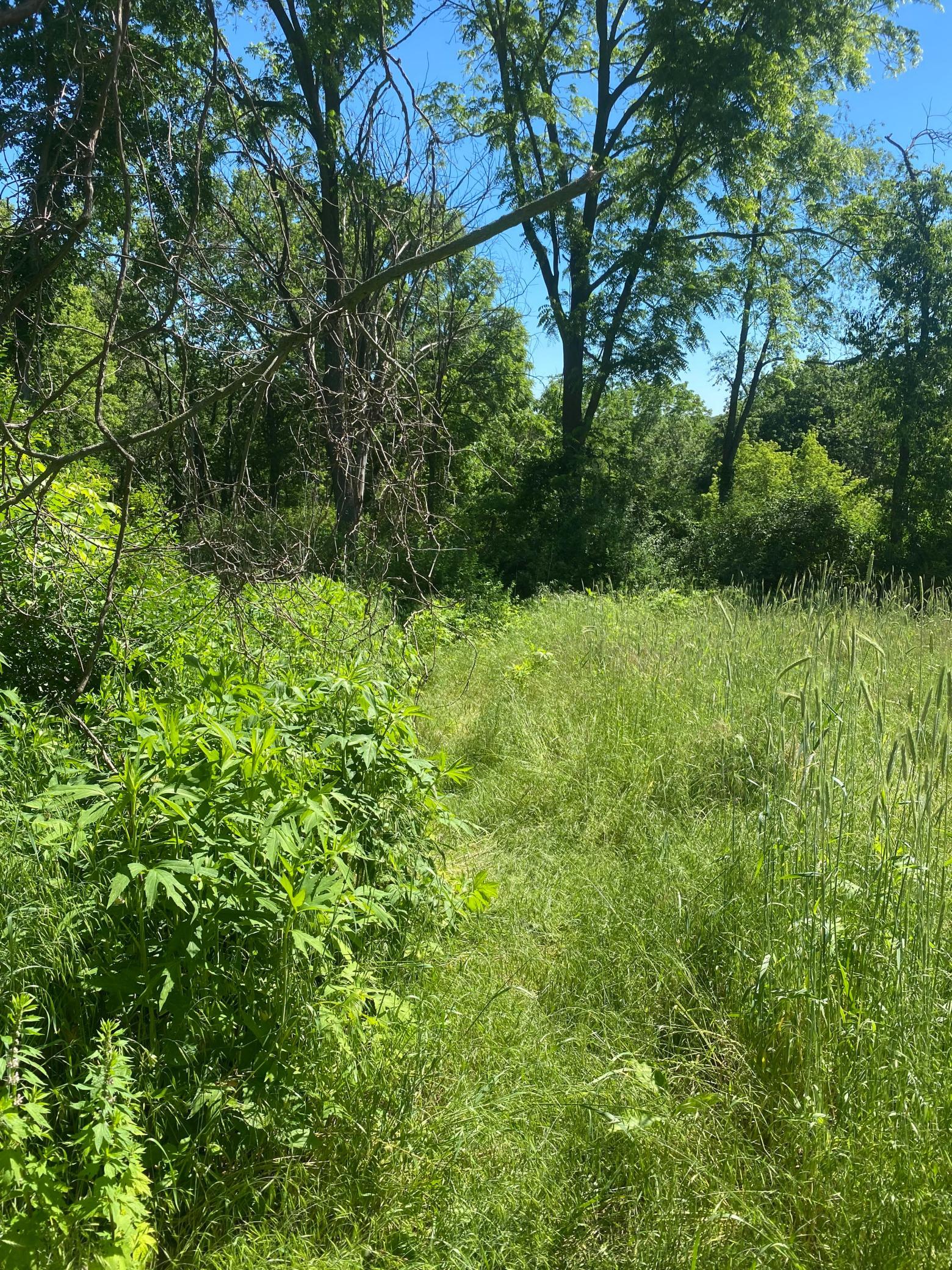 main property photo 40