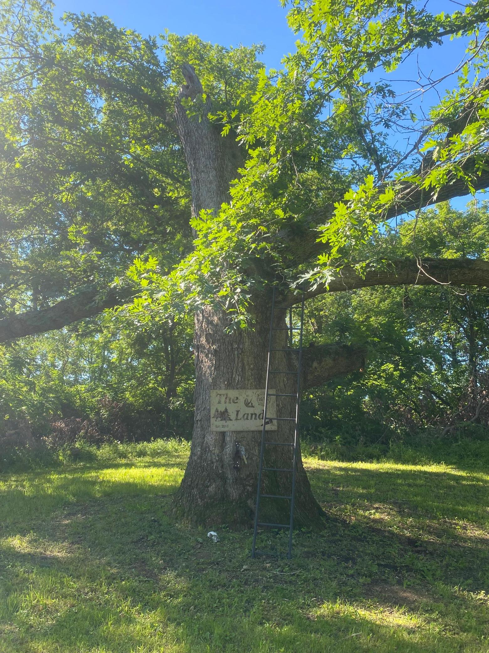 main property photo 53