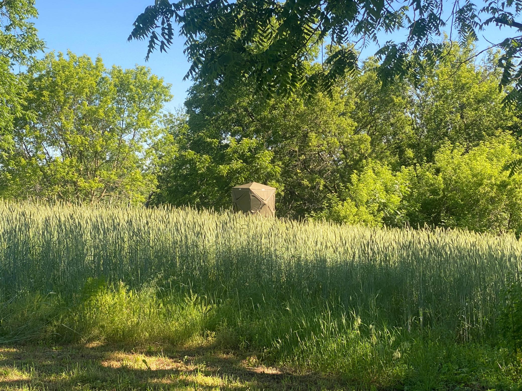 main property photo 62