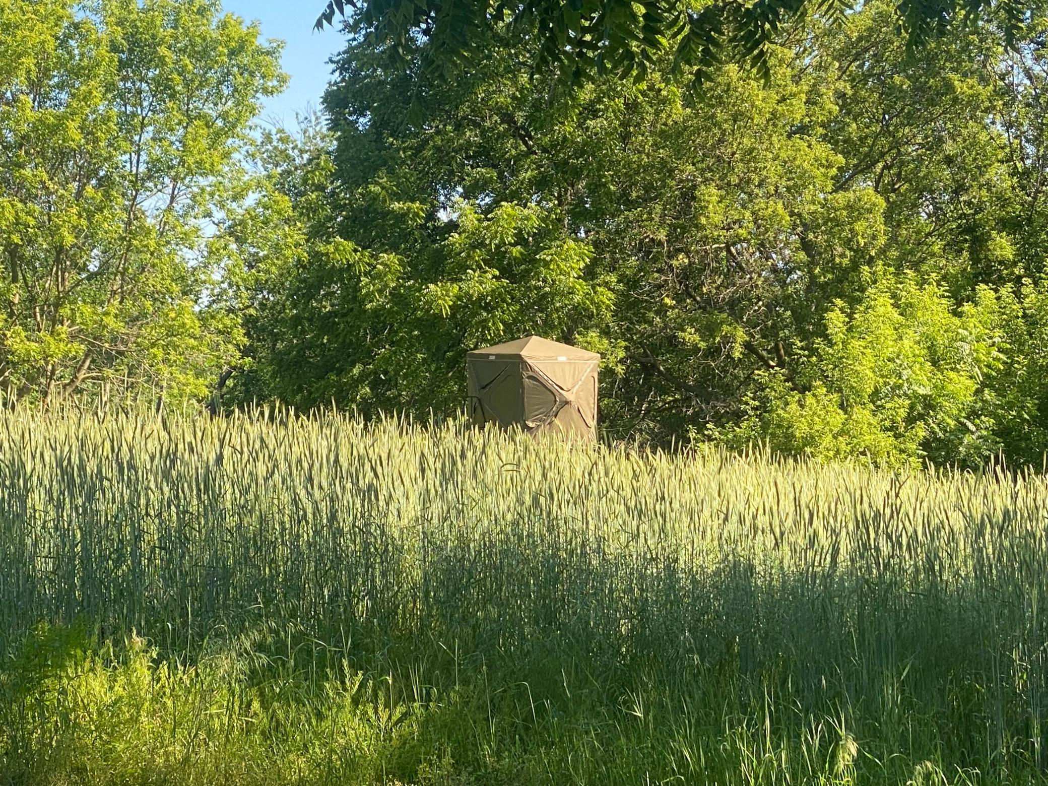 main property photo 63