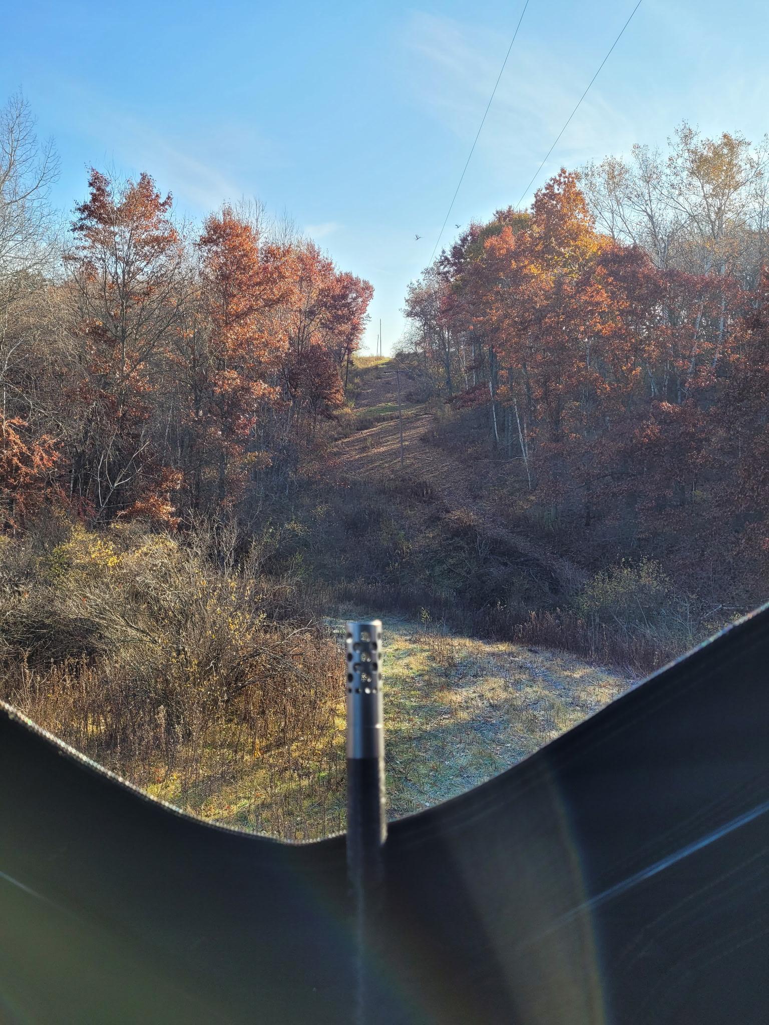 main property photo 68
