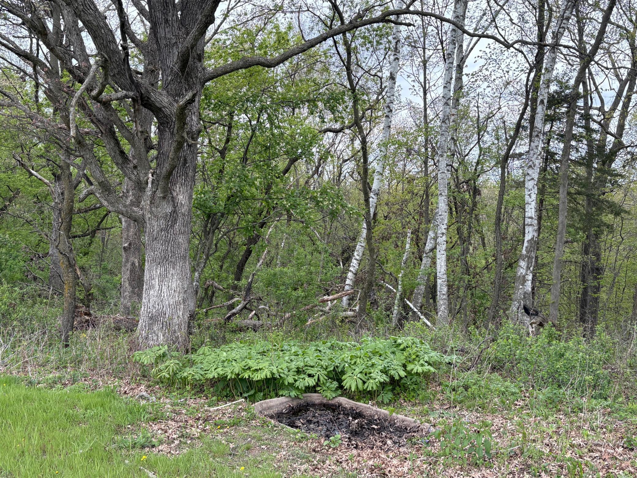 main property photo 73