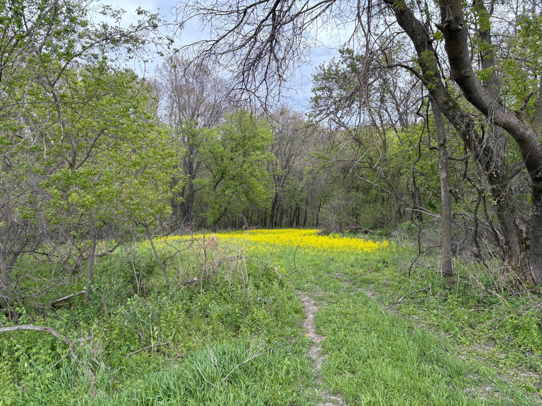 main property photo 74