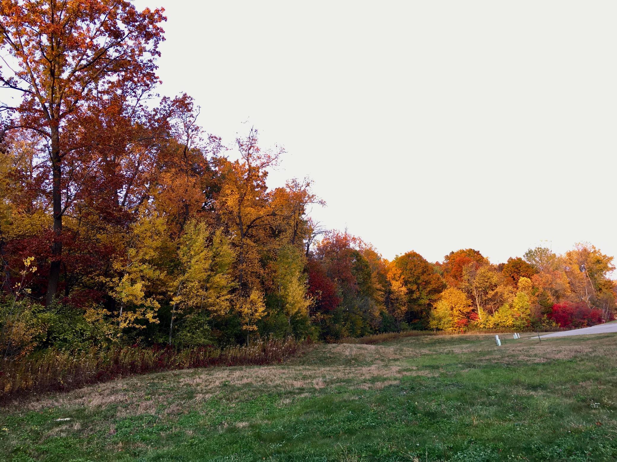 main property photo 79