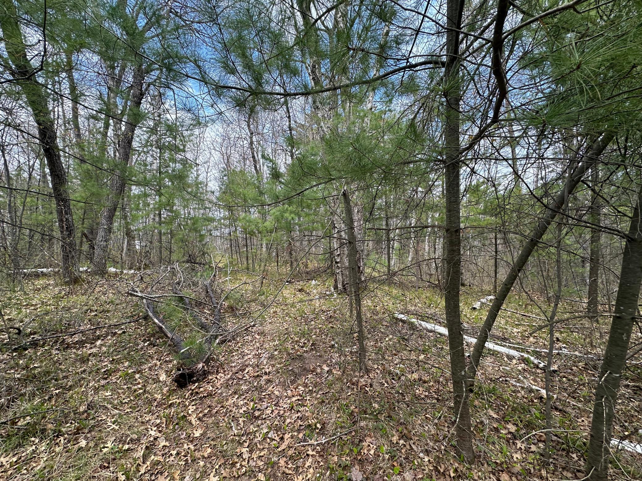 main property photo 10