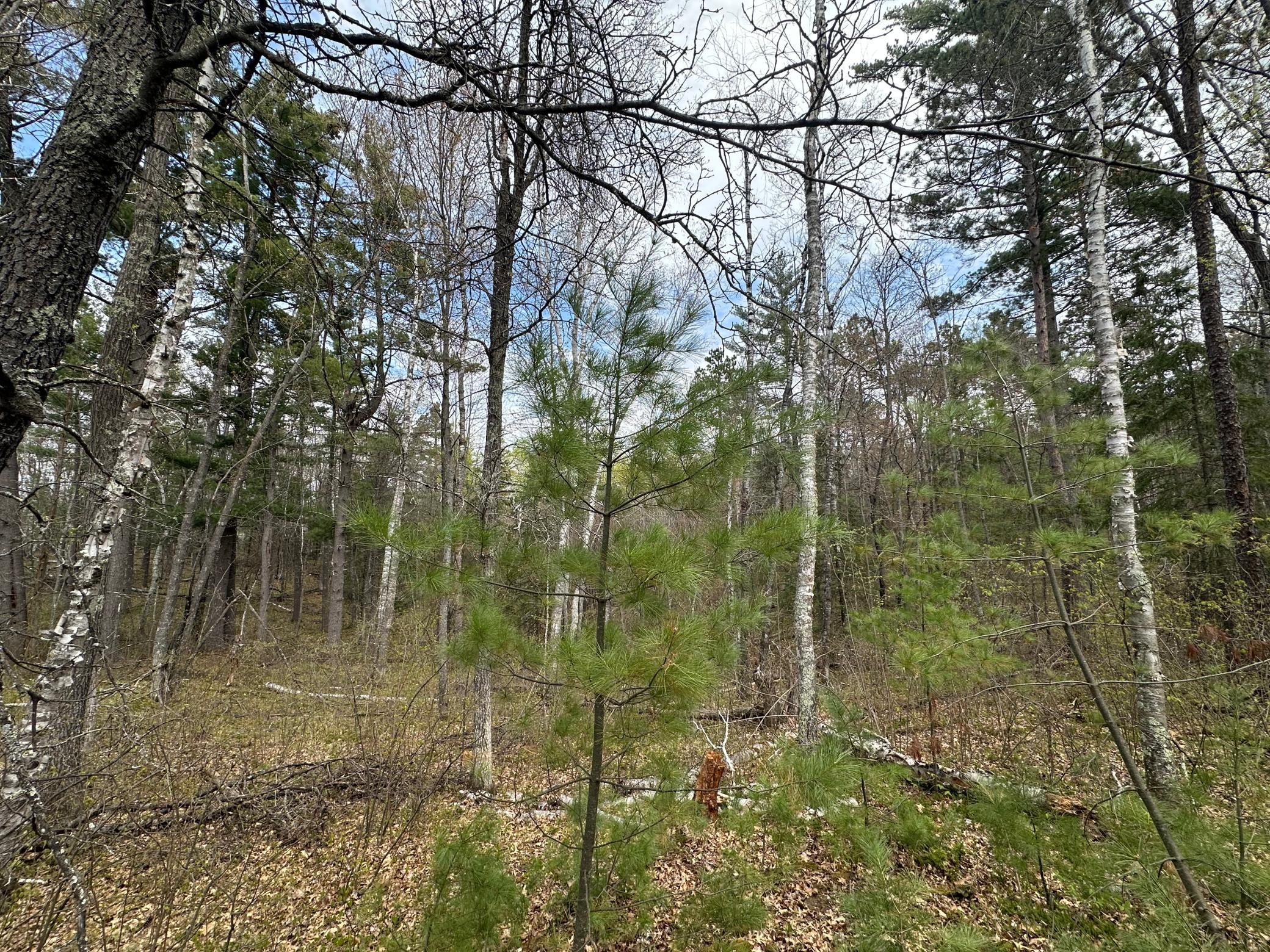 main property photo 11