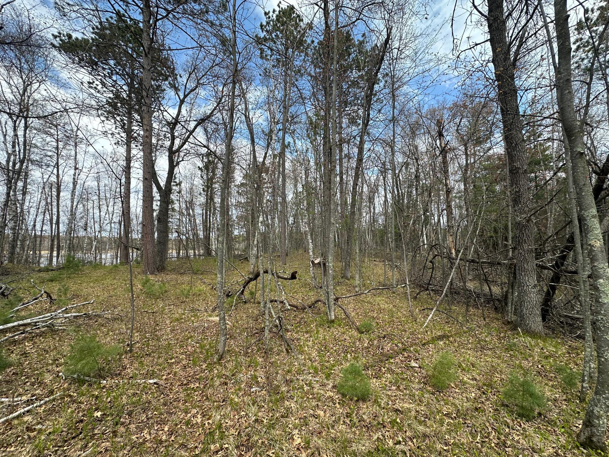 main property photo 12
