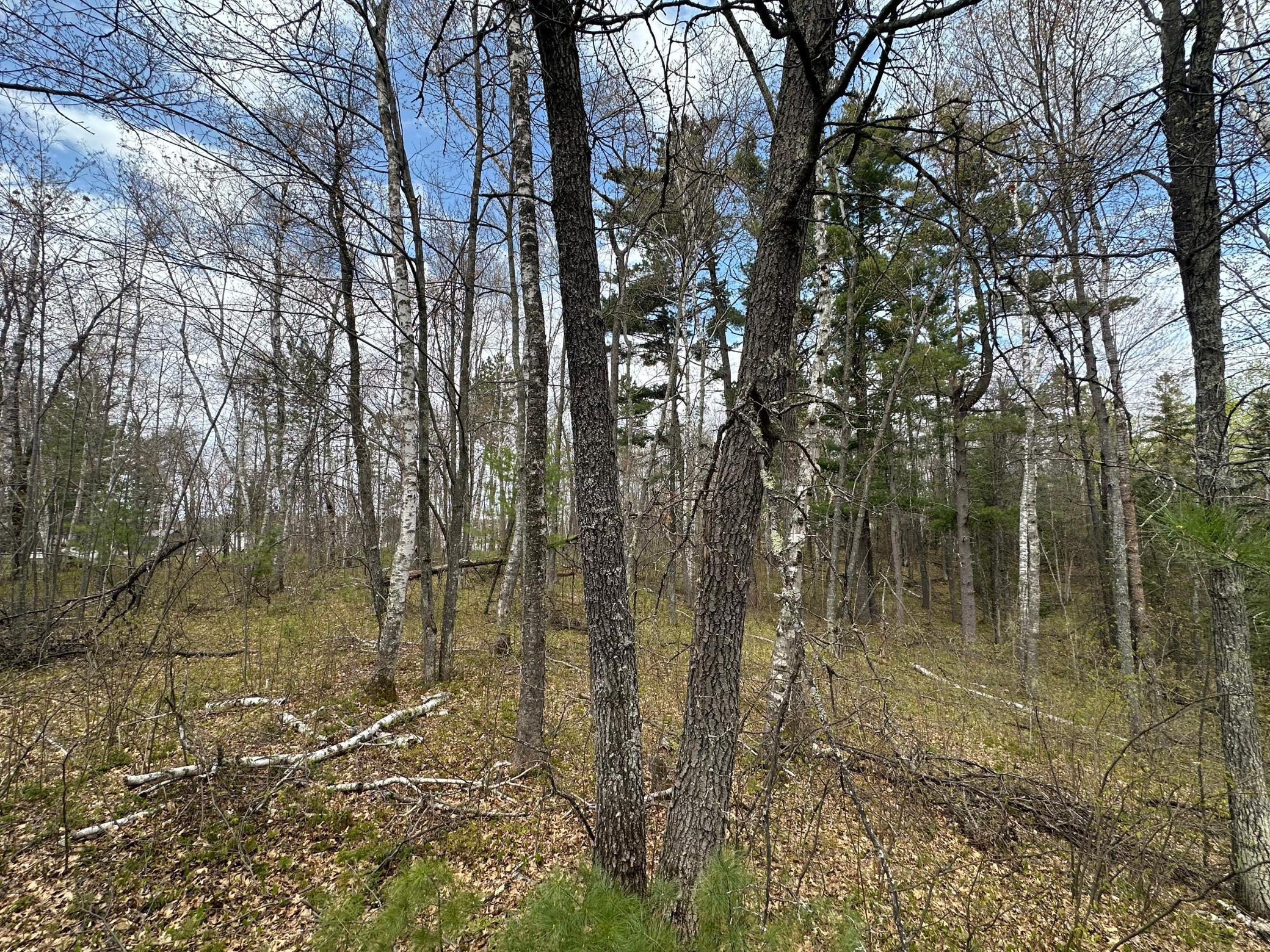 main property photo 13