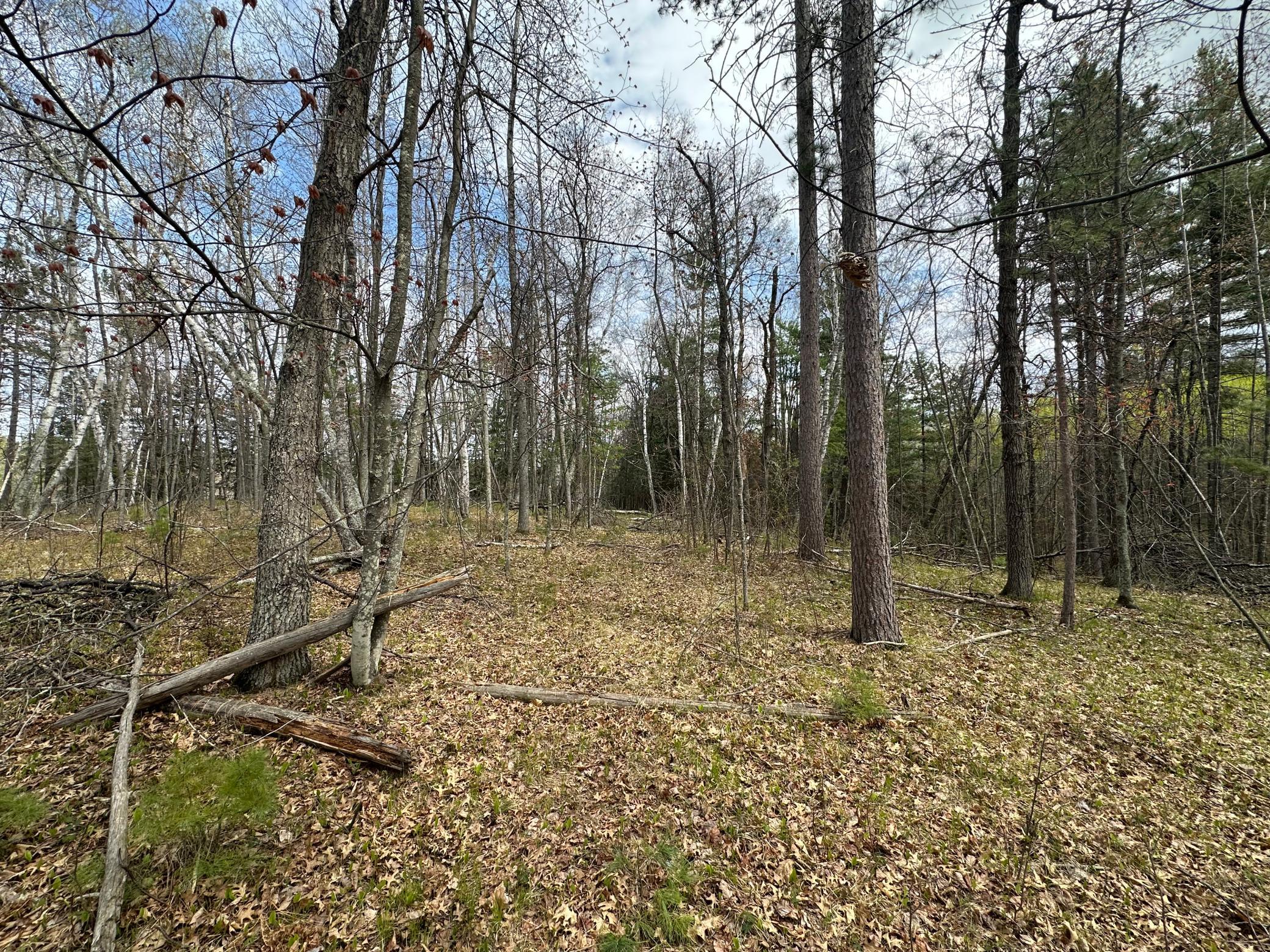 main property photo 14