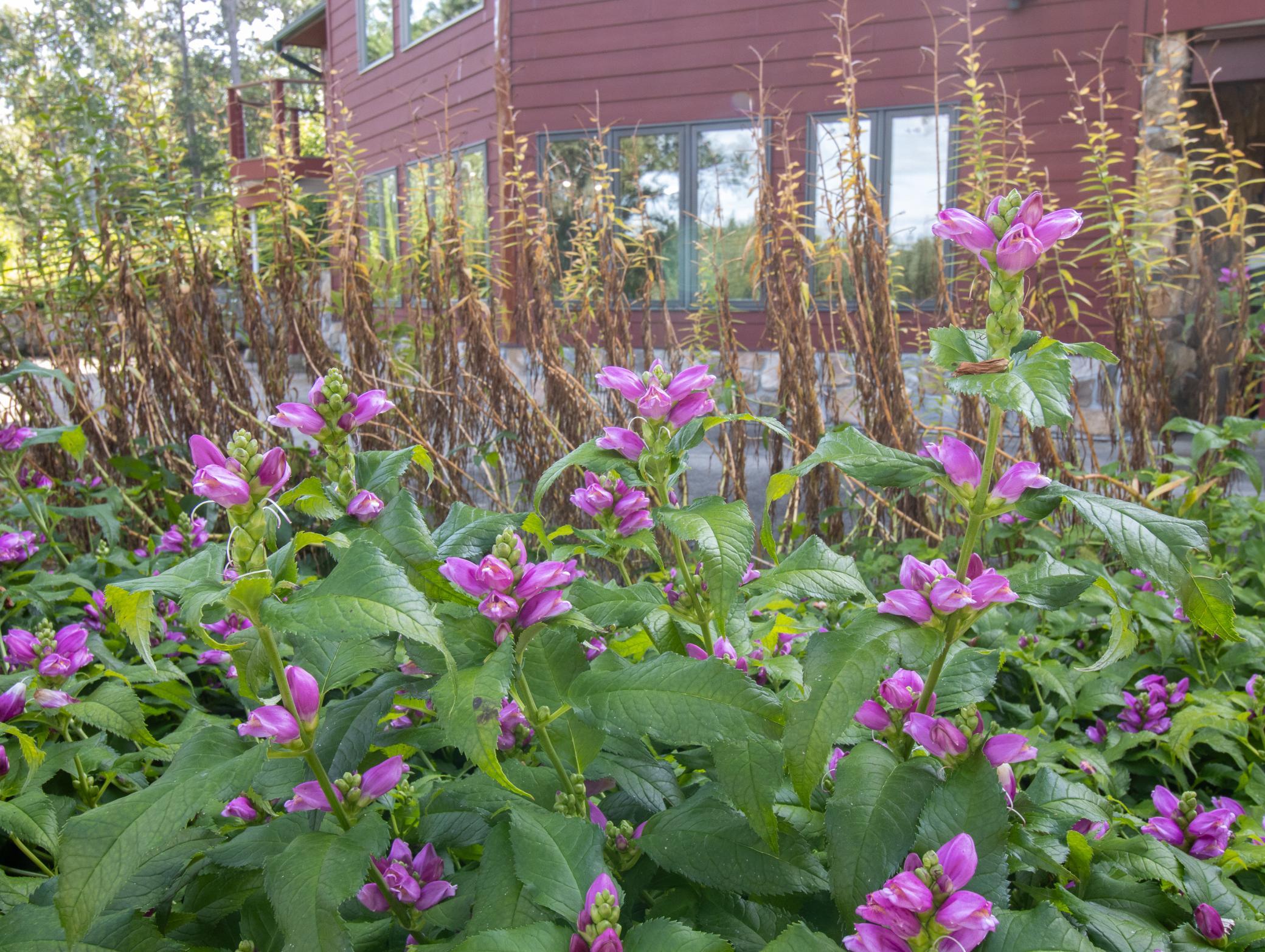 main property photo 35
