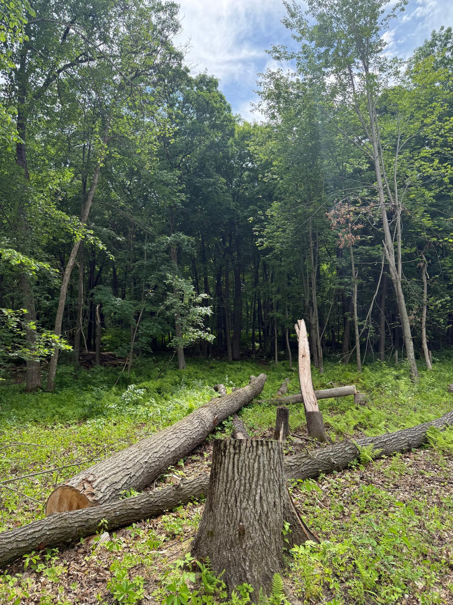 main property photo 21
