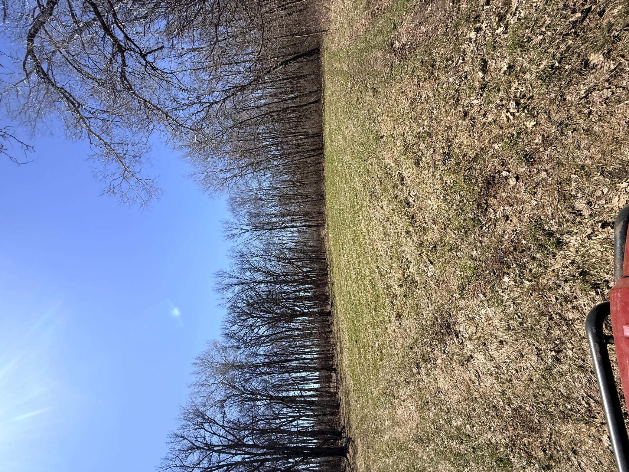 main property photo 16