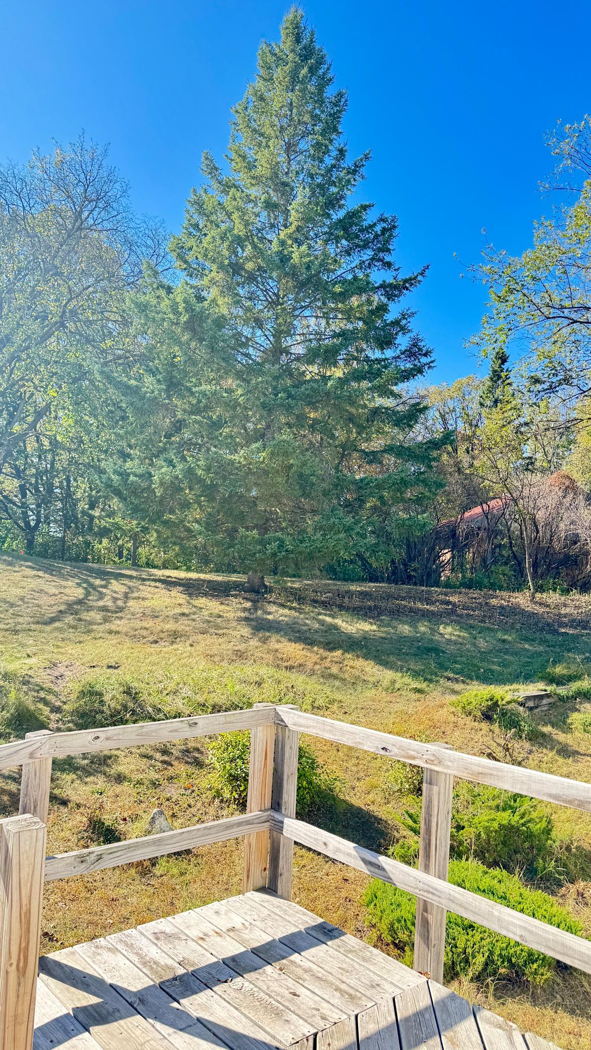 main property photo 45