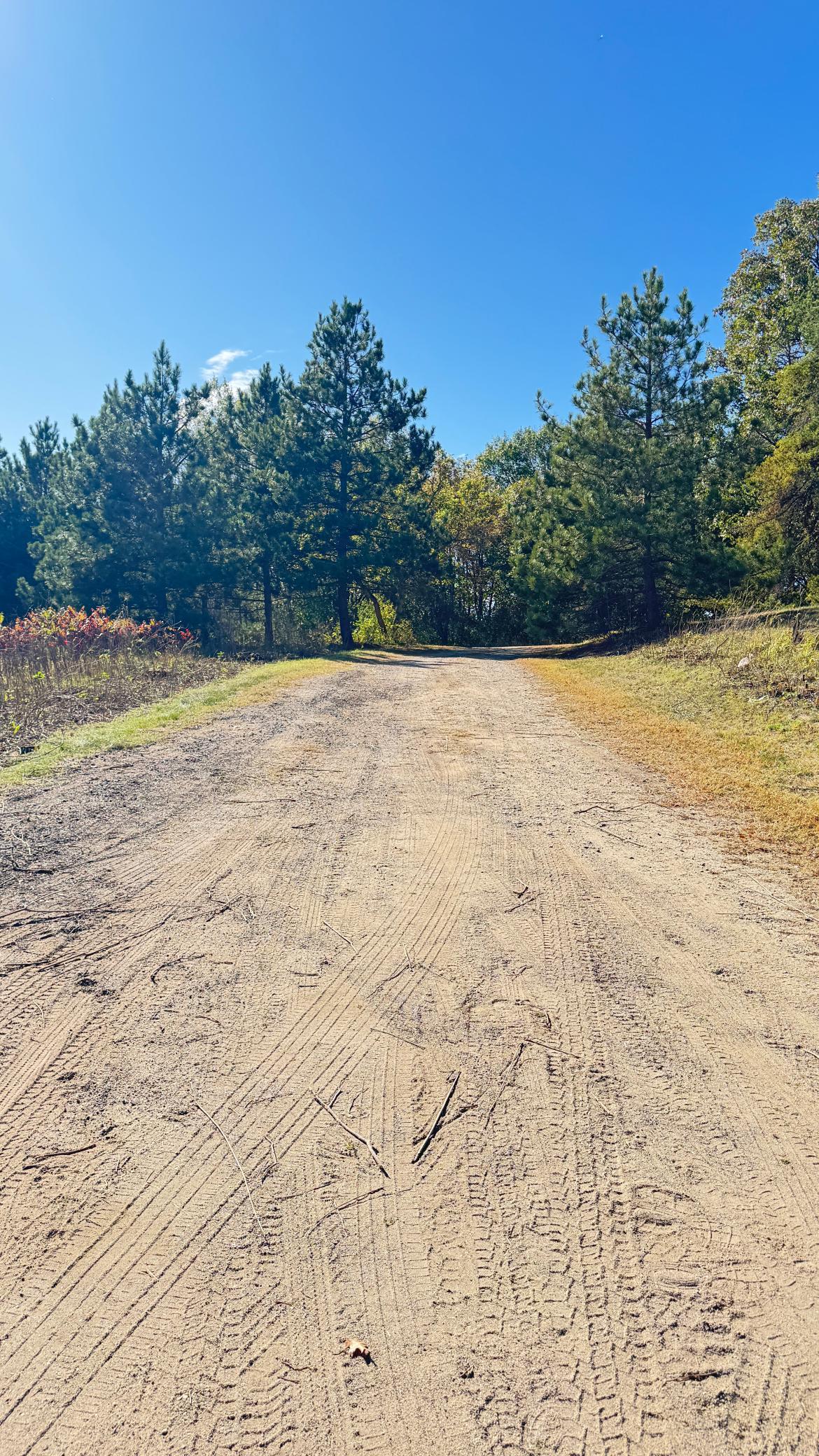 main property photo 51