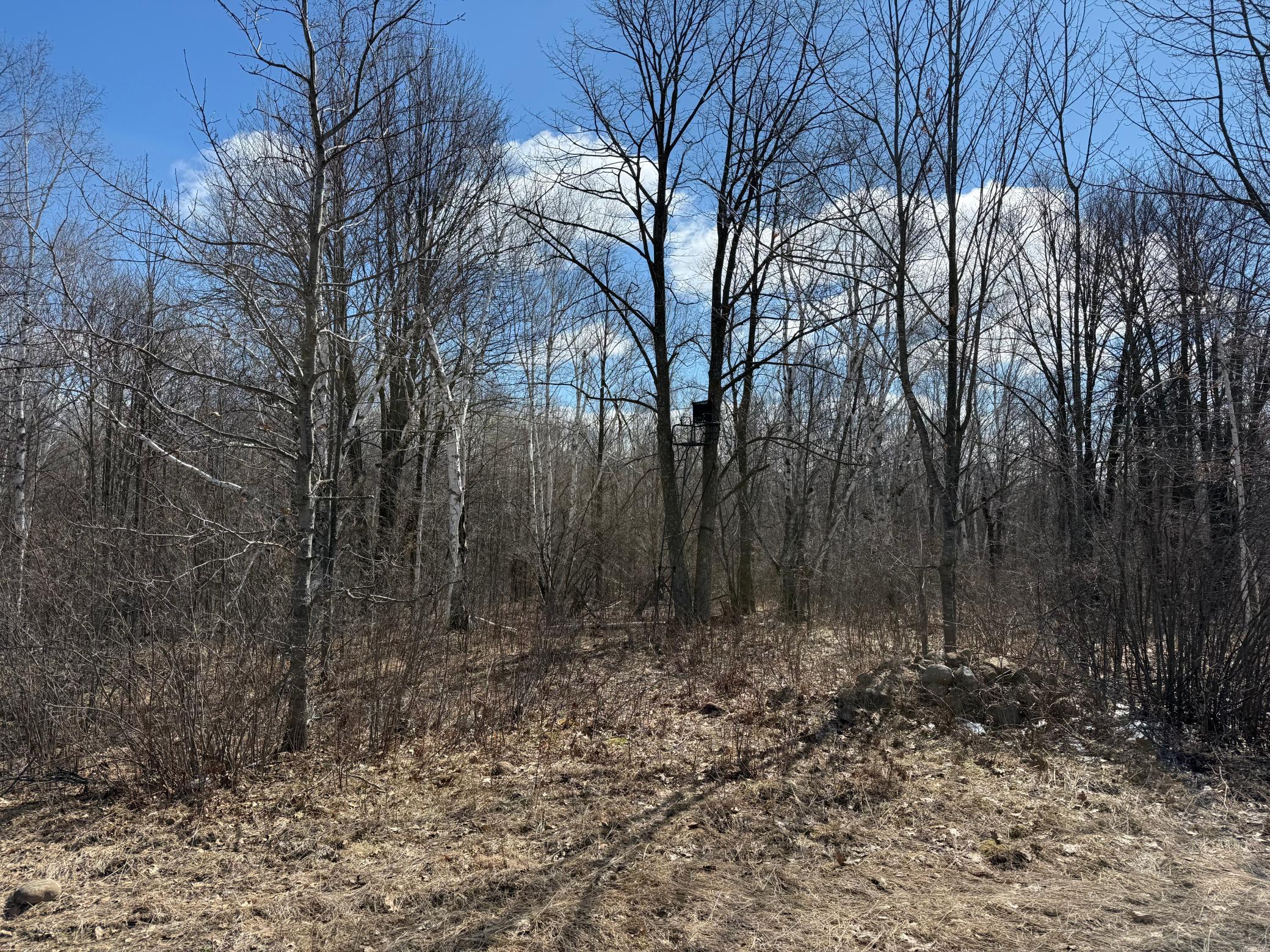 main property photo 59