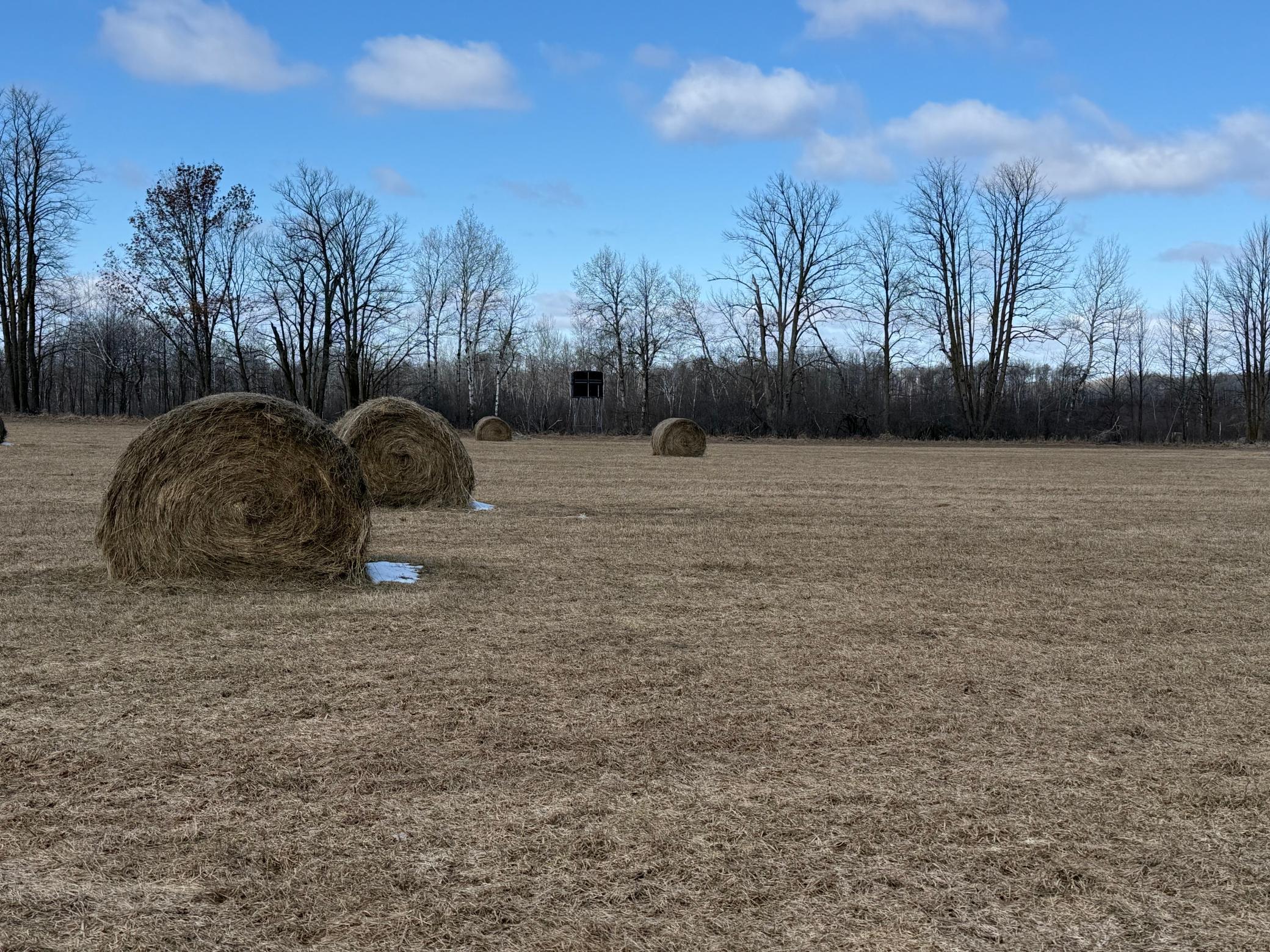 main property photo 69
