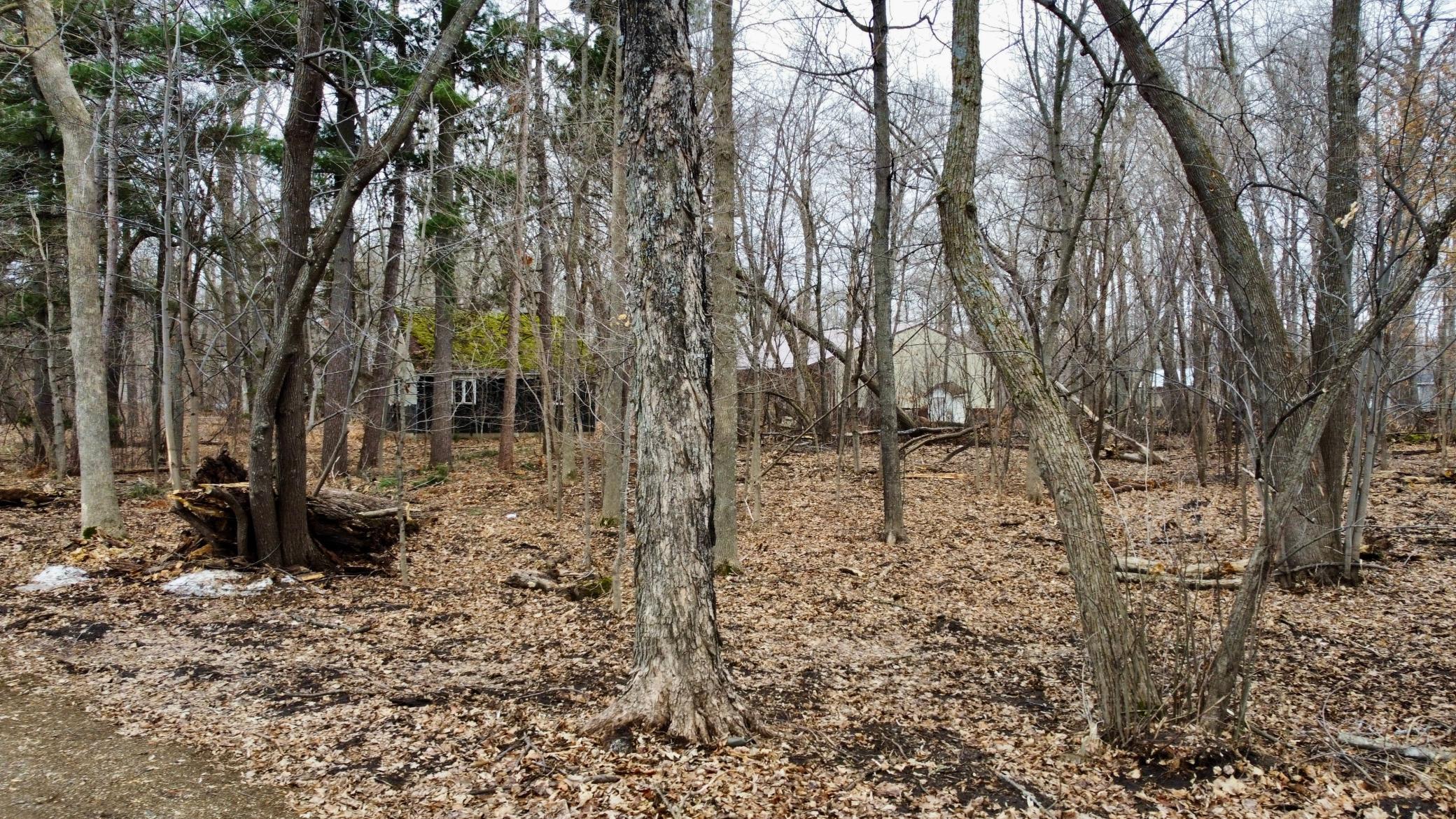 main property photo 21
