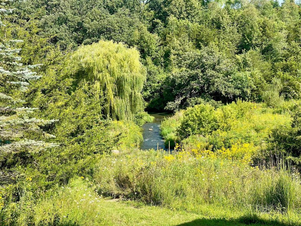 main property photo 38