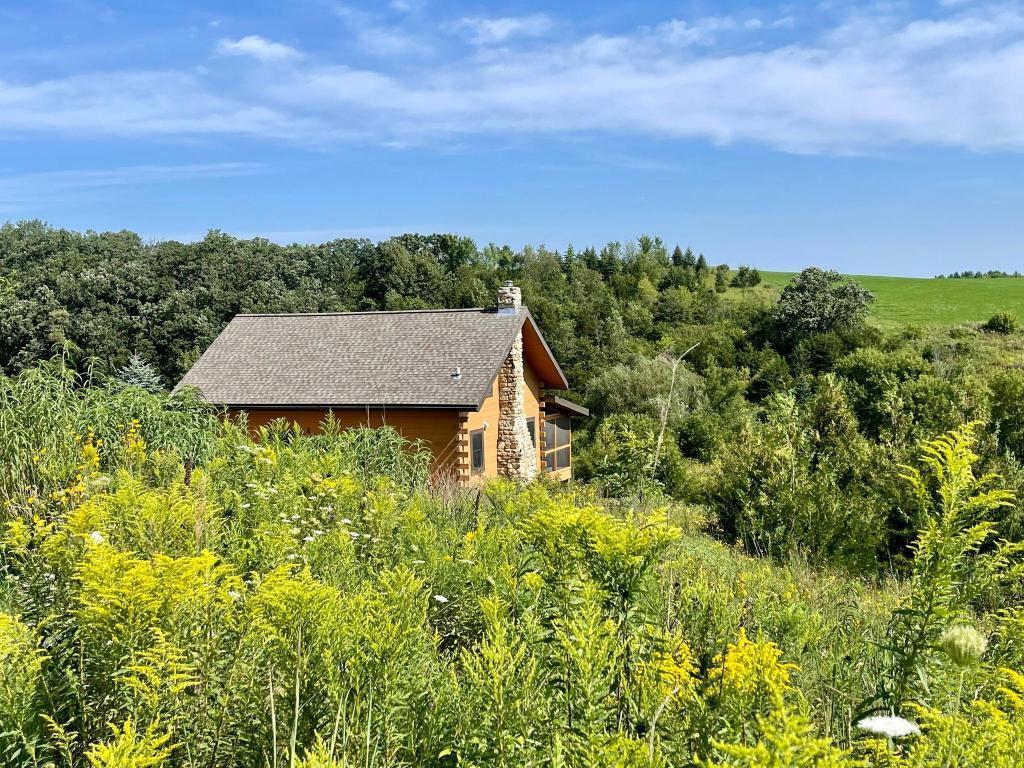 main property photo 42