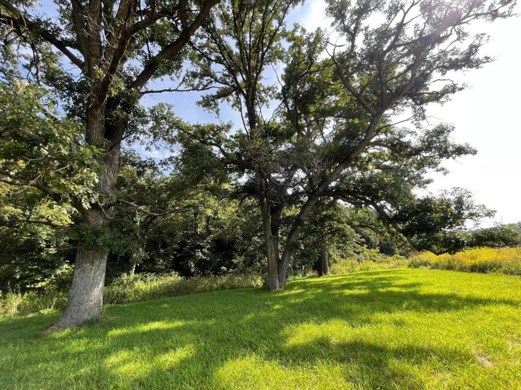 main property photo 45