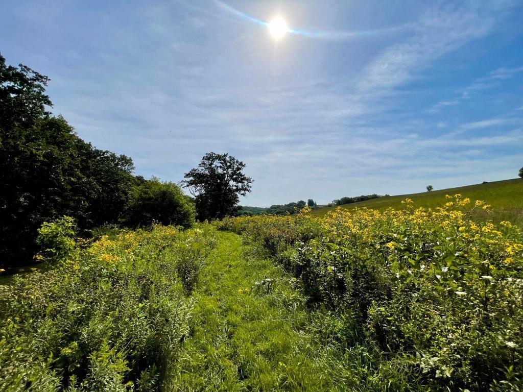 main property photo 46