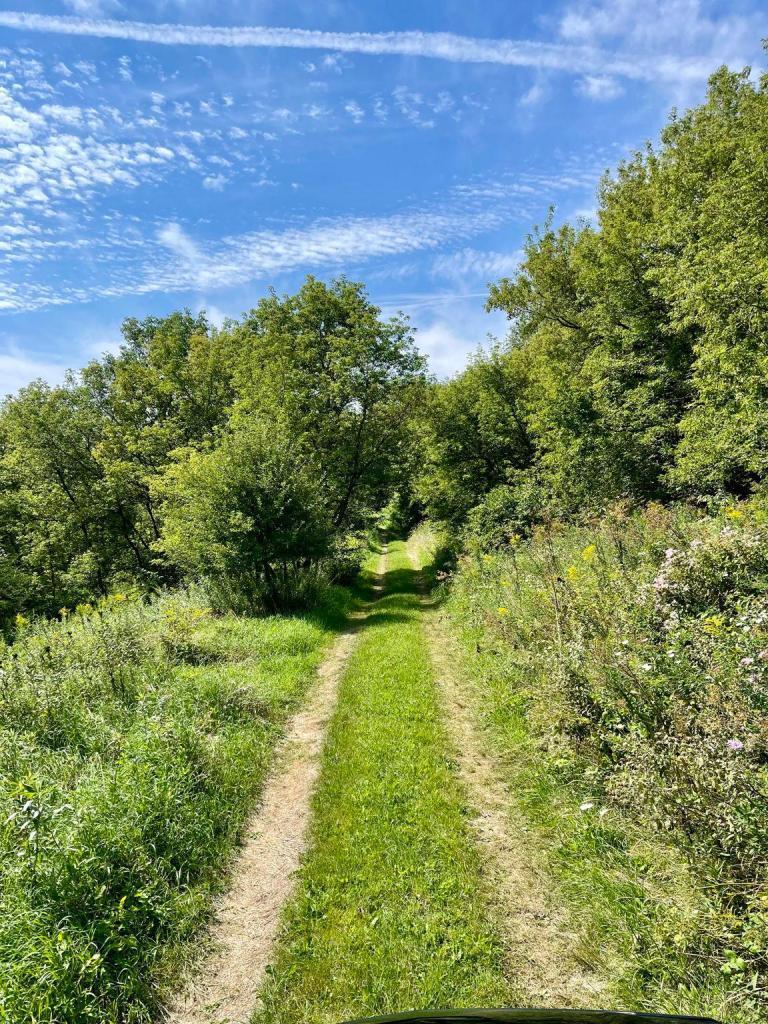 main property photo 48