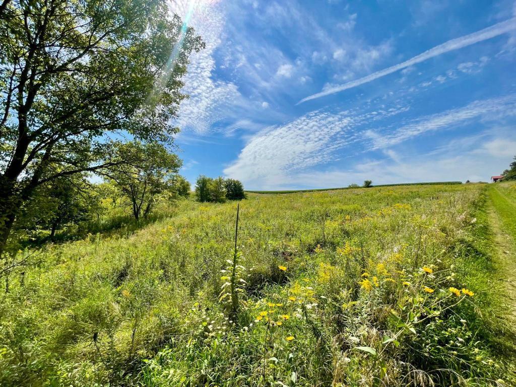 main property photo 51