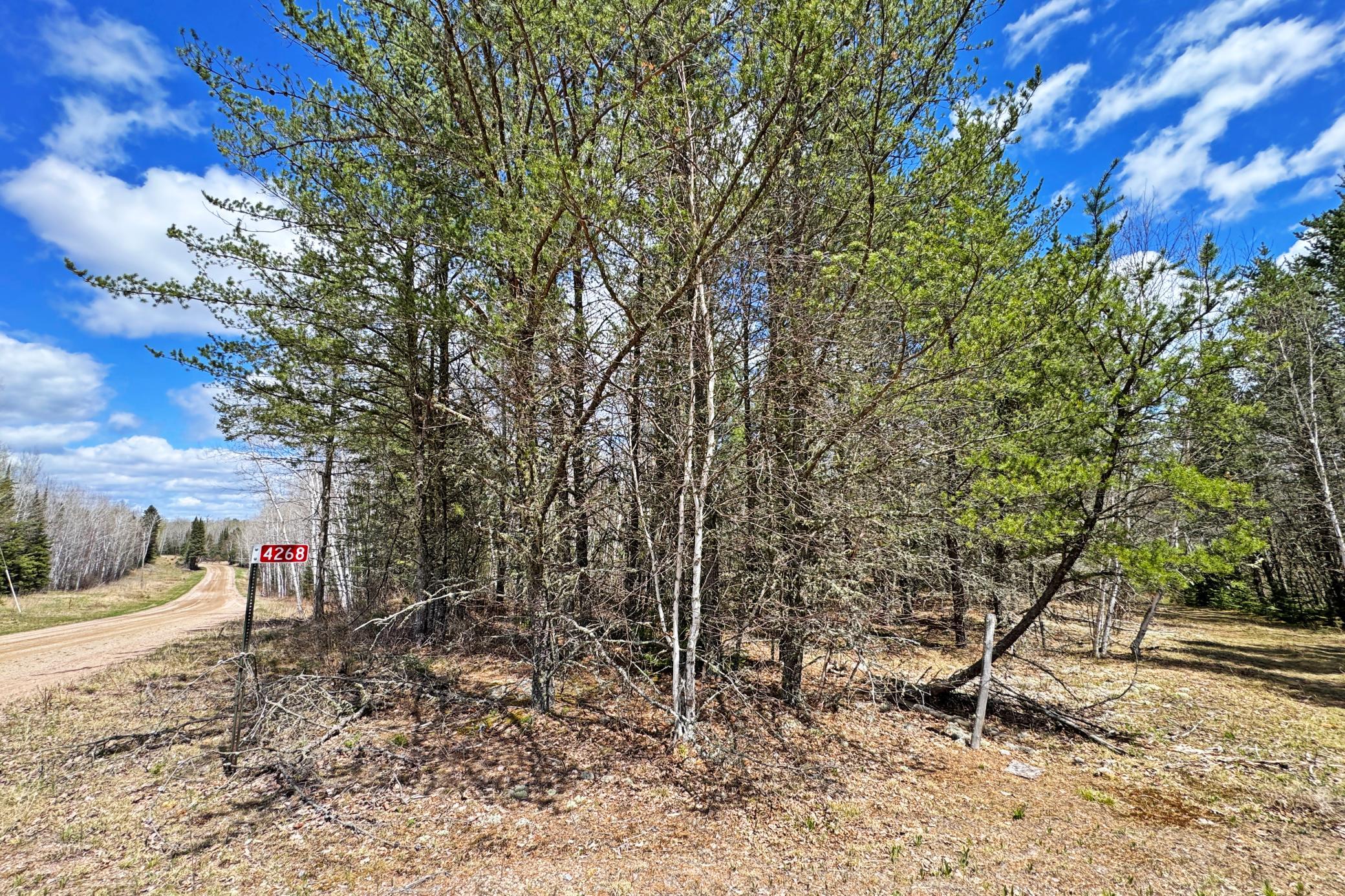 main property photo 25