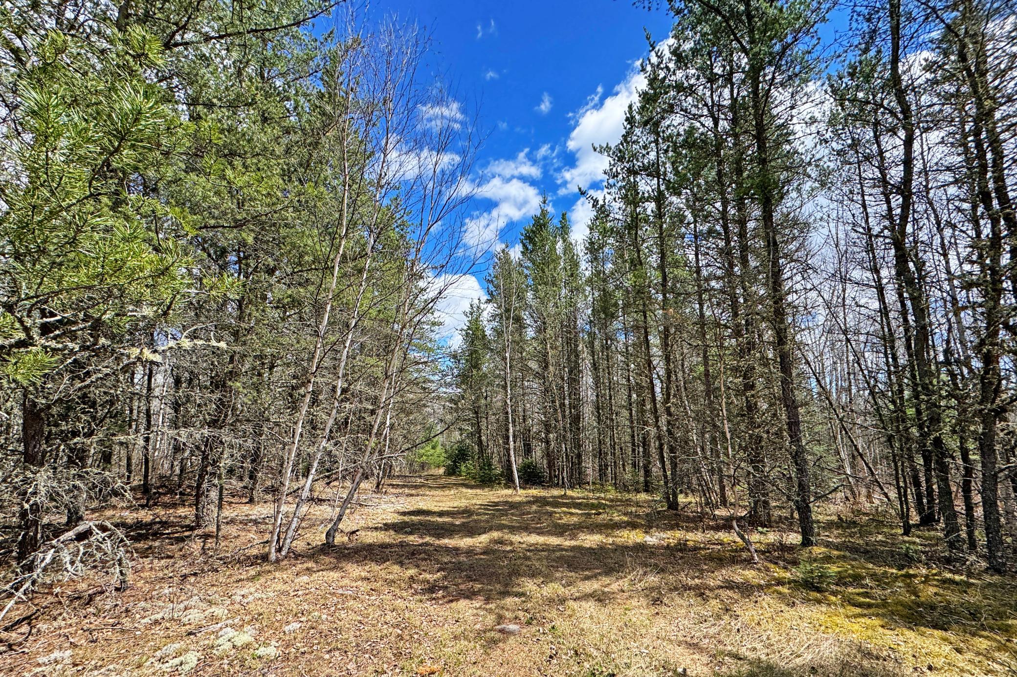 main property photo 26