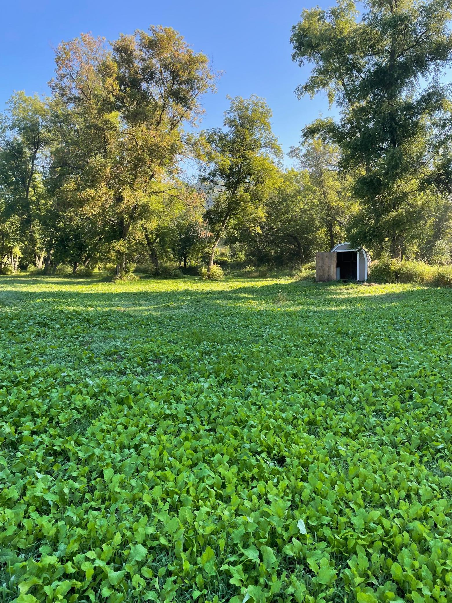 main property photo 6