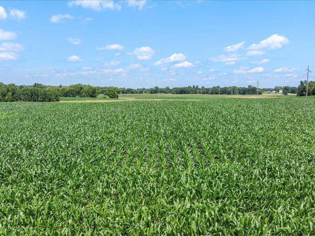 main property photo 52