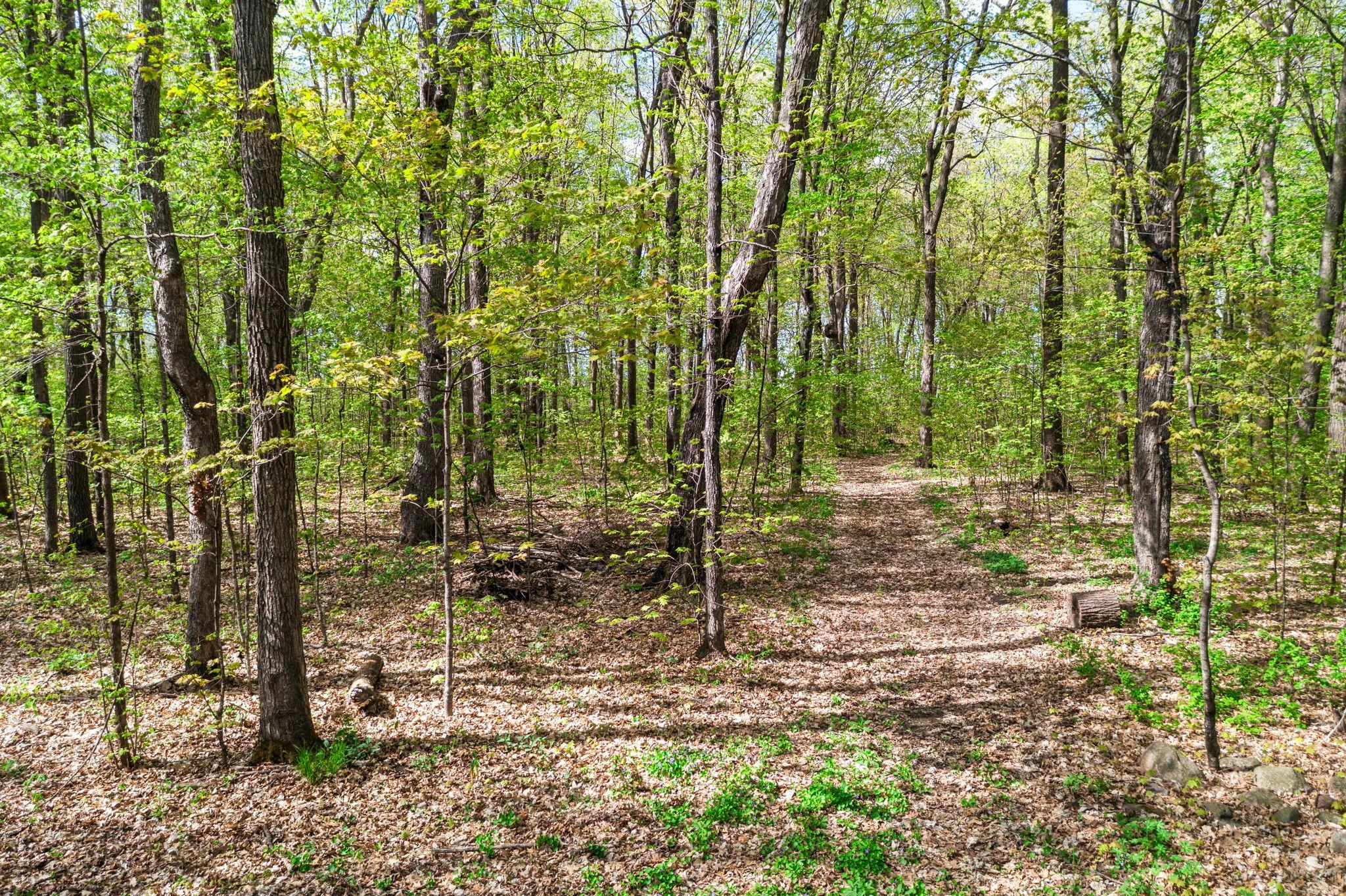 main property photo 59