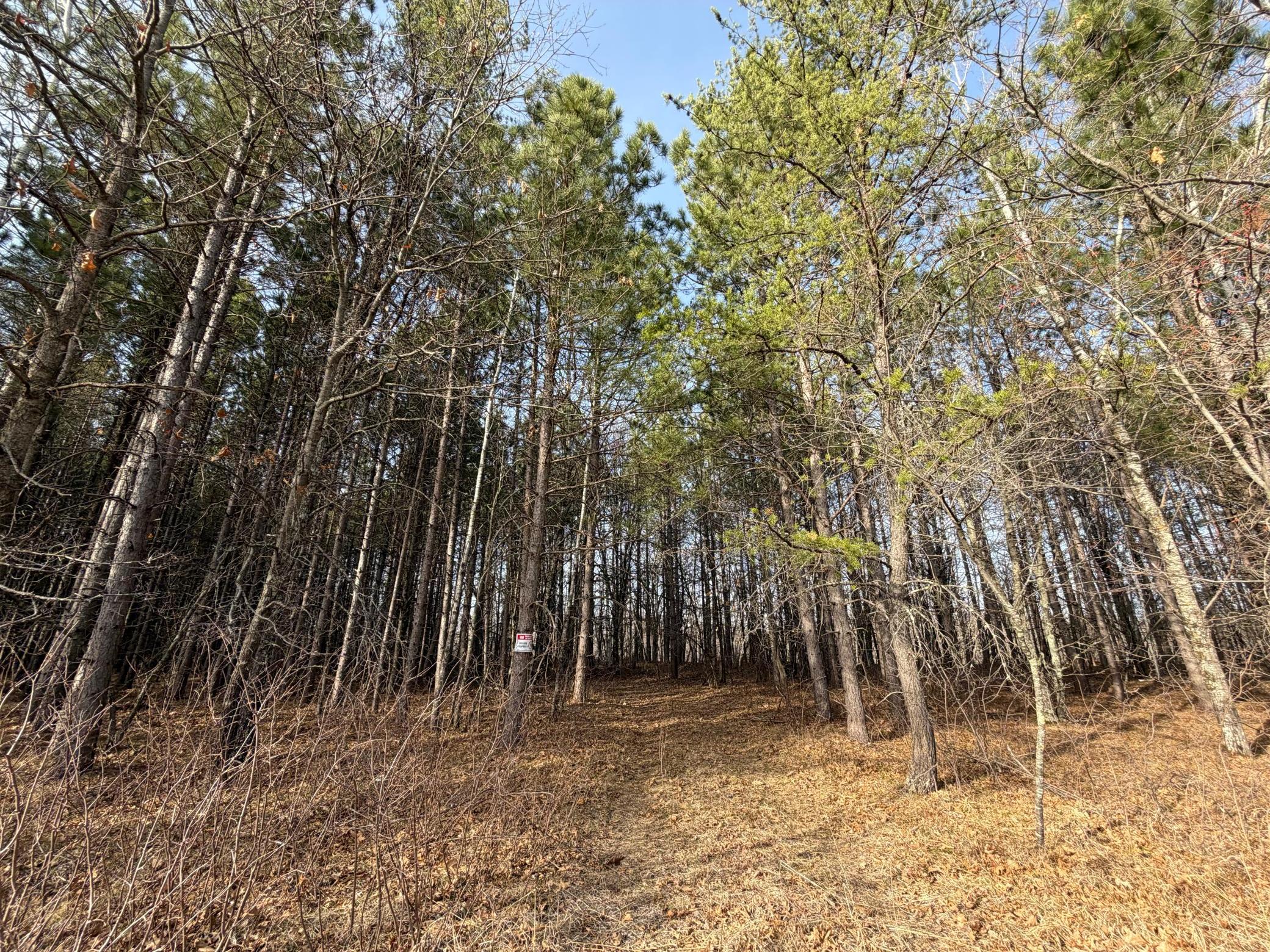 main property photo 45