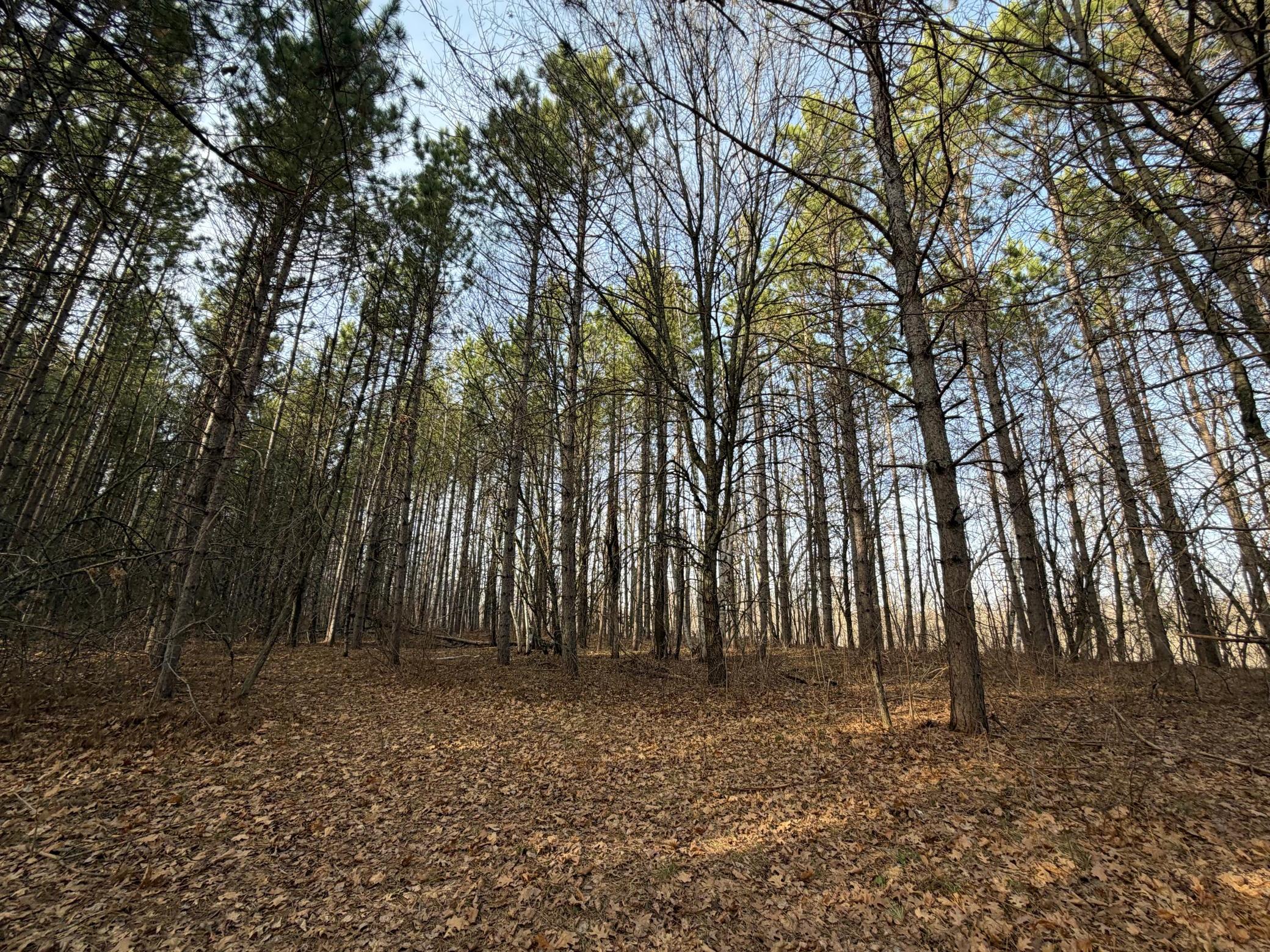 main property photo 46