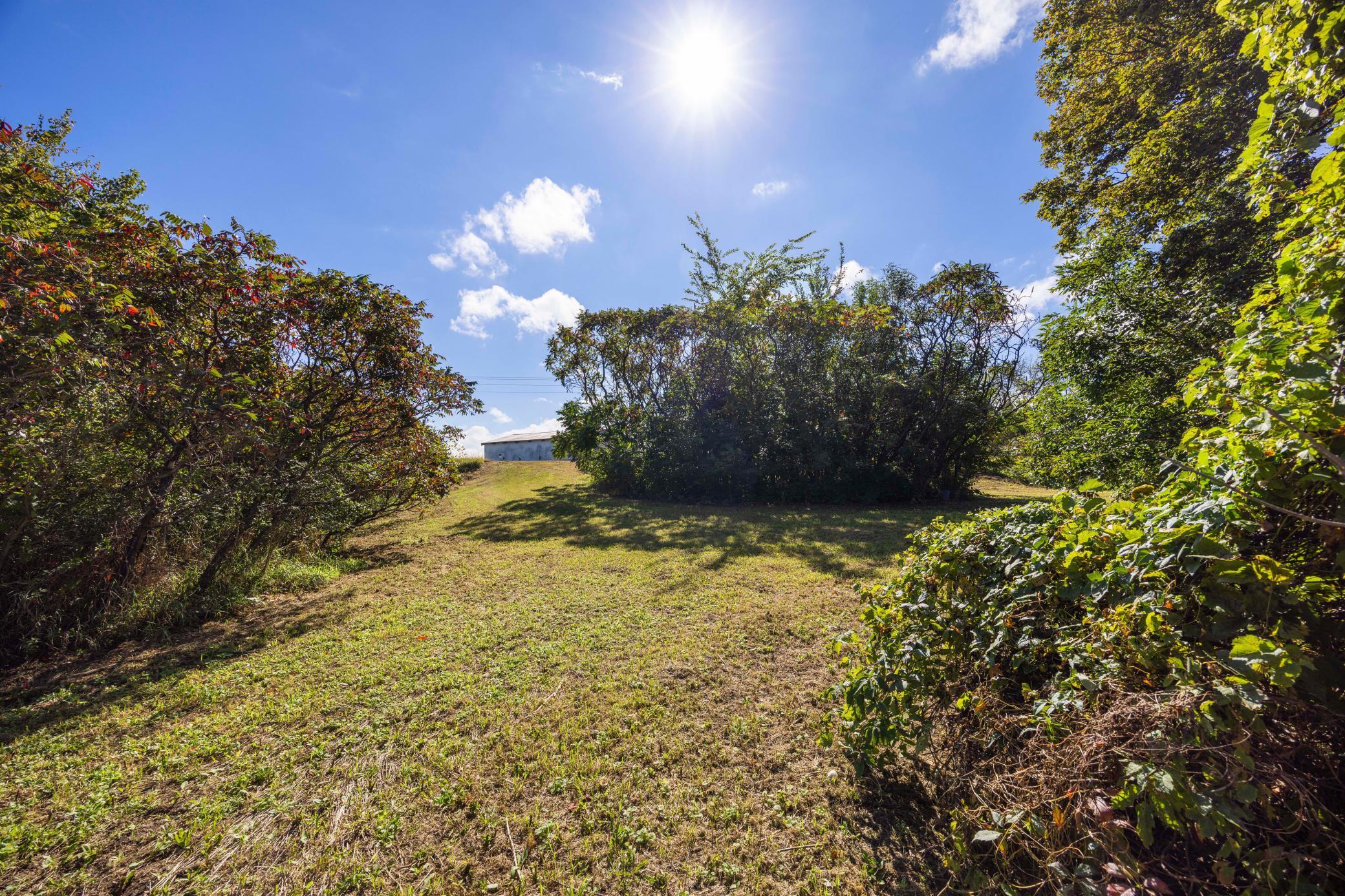 main property photo 48