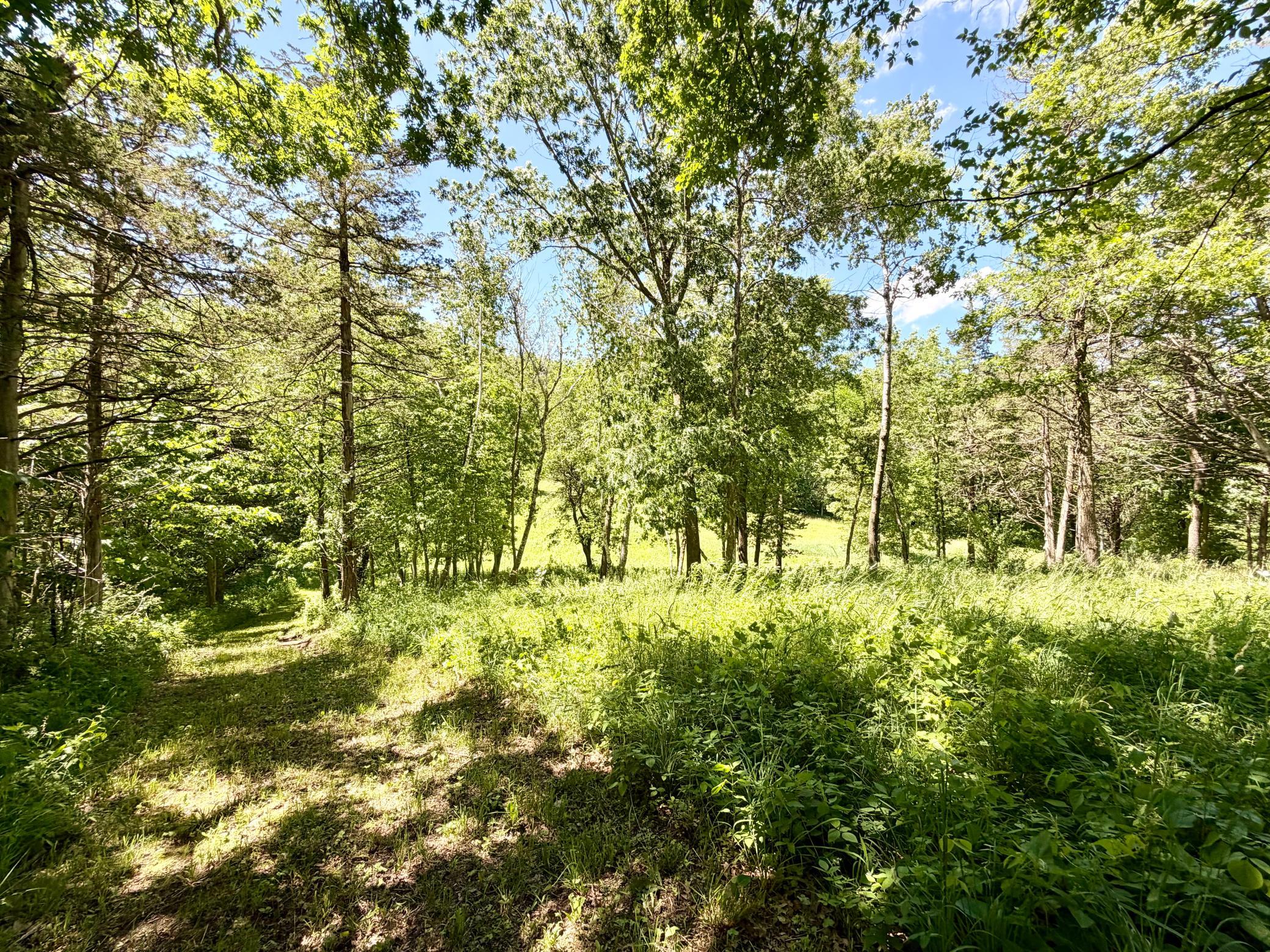 main property photo 100