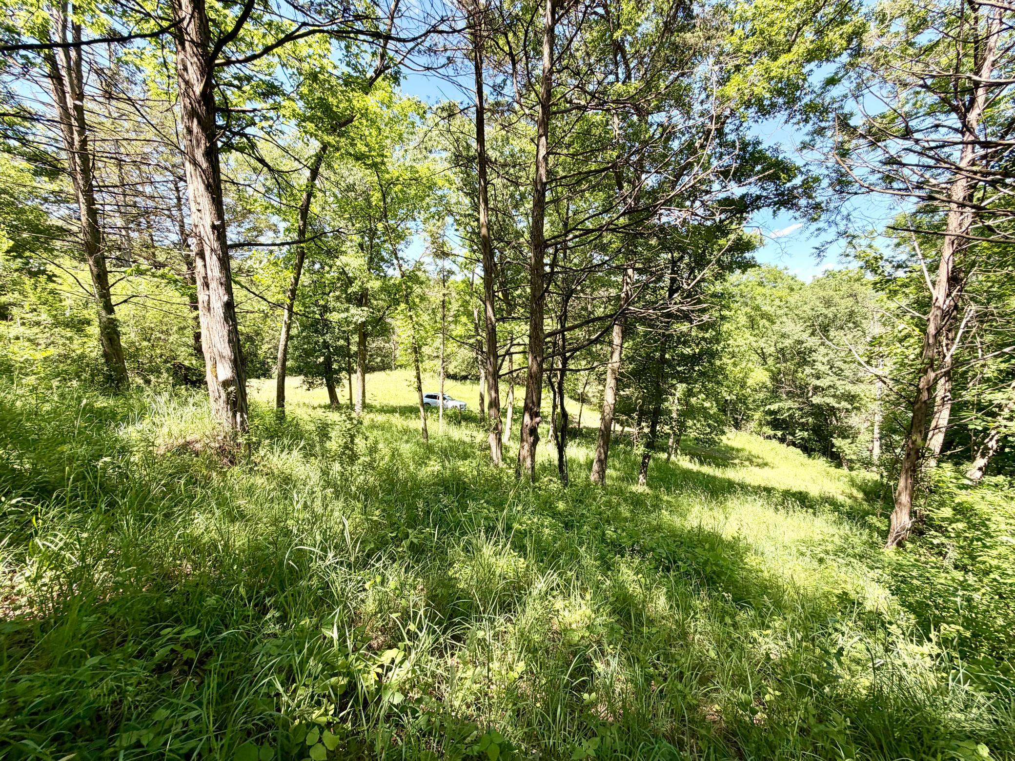 main property photo 101