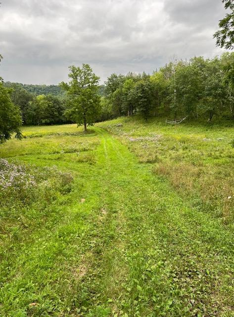 main property photo 103