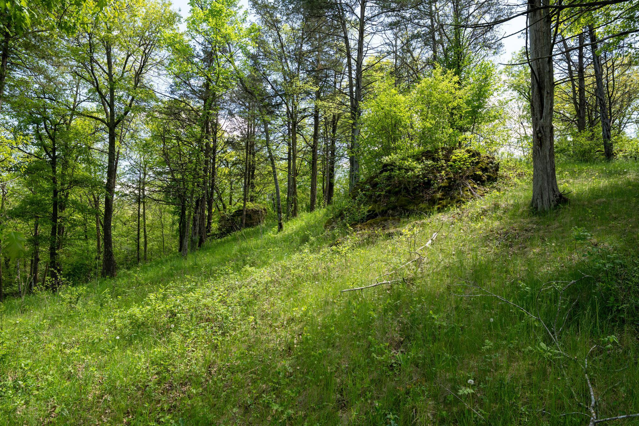 main property photo 90