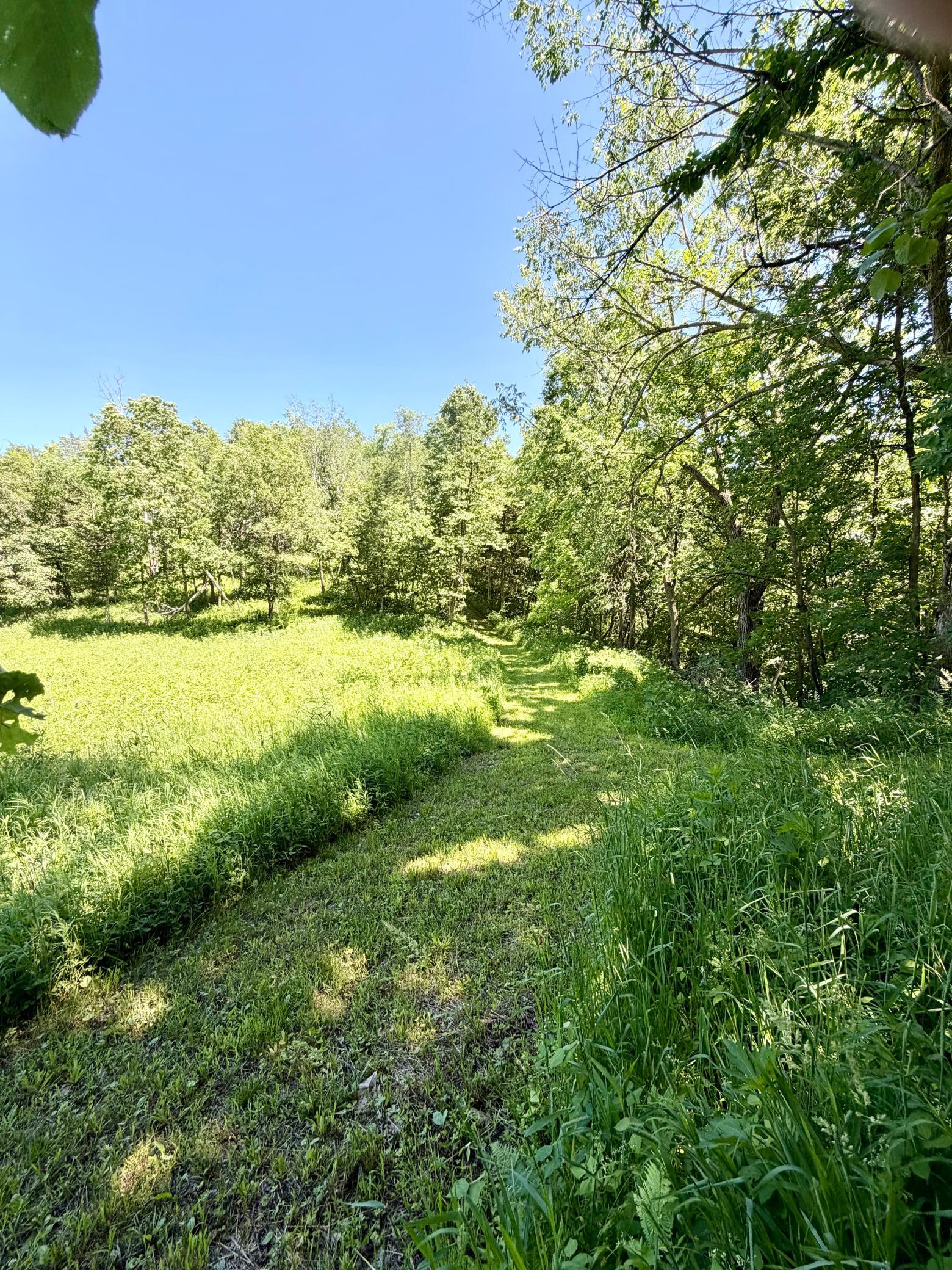 main property photo 97