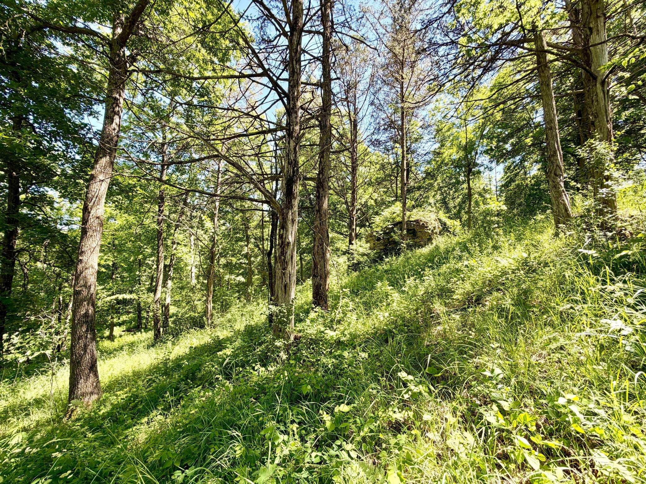 main property photo 98
