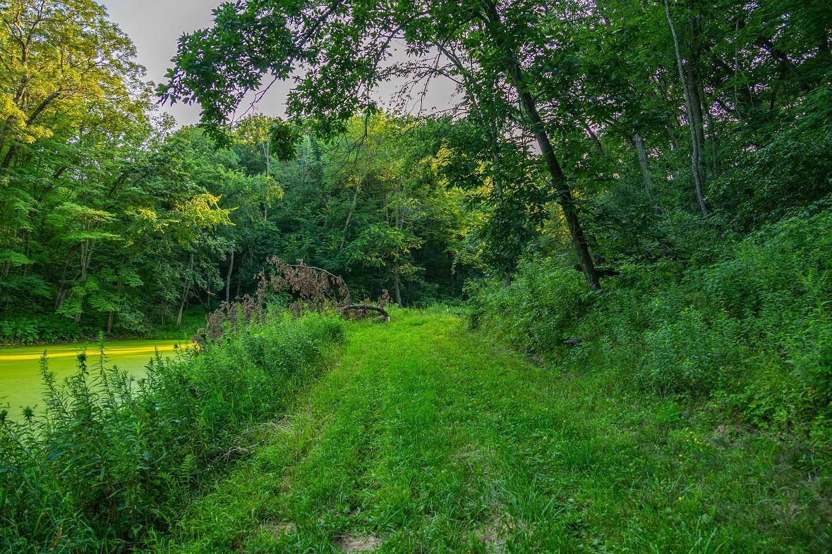 main property photo 15