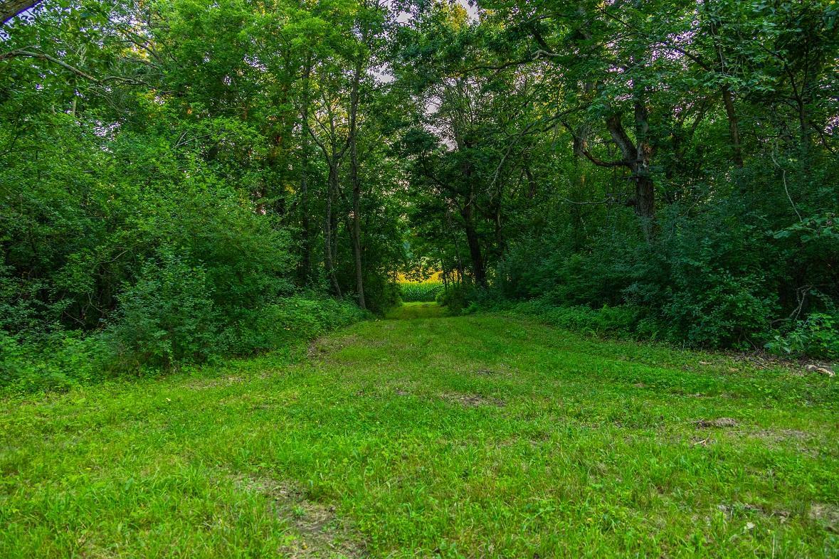 main property photo 21