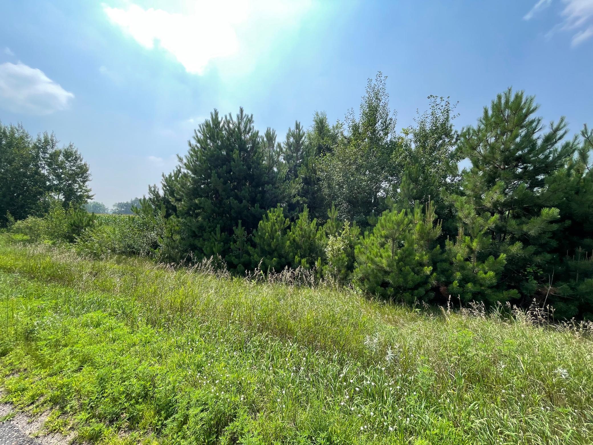 main property photo 9