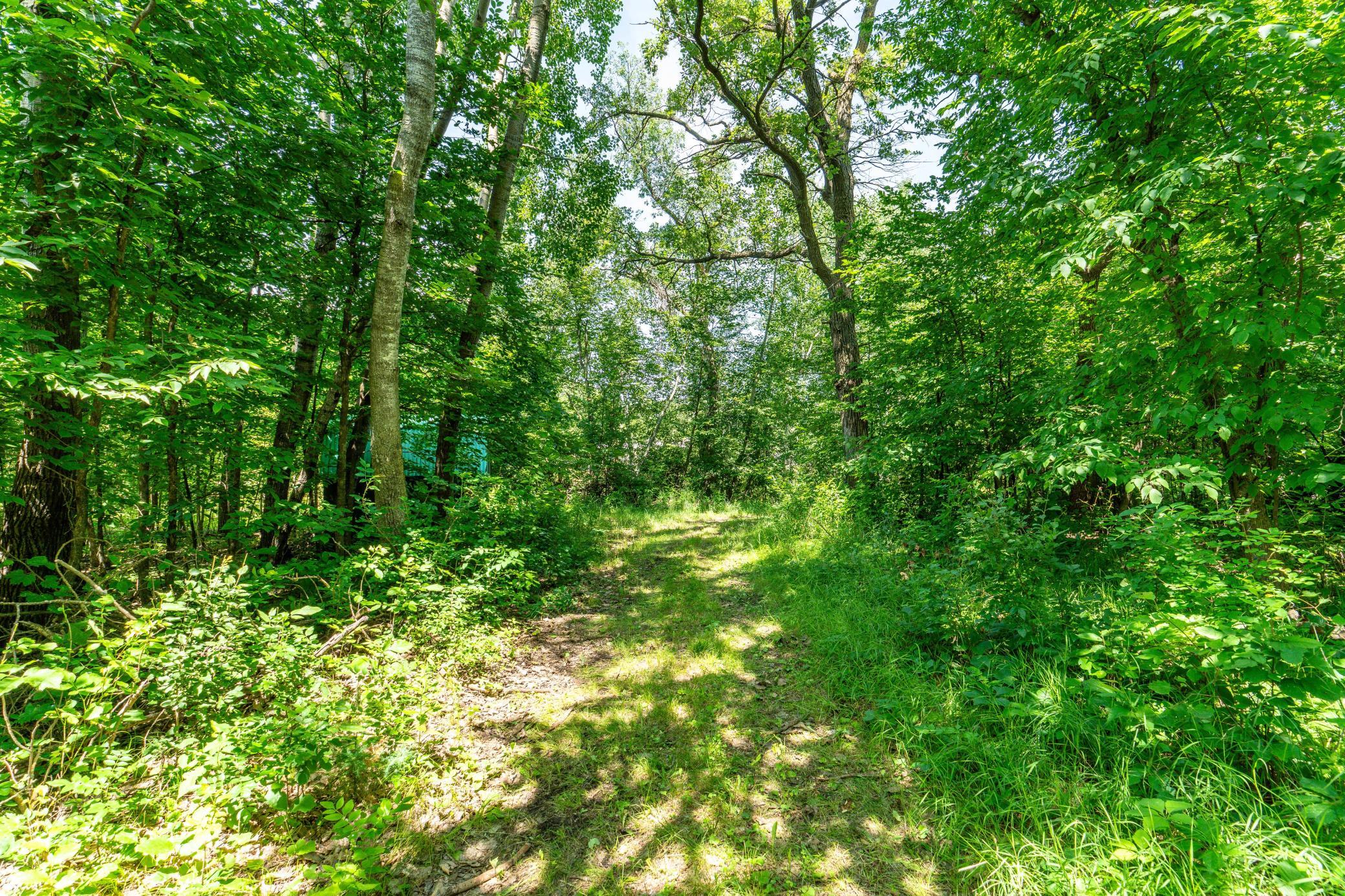 main property photo 13